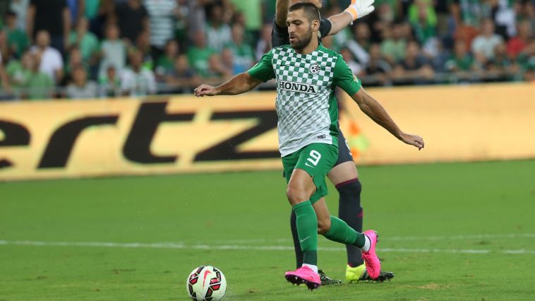 שכטר במדי חיפה. 