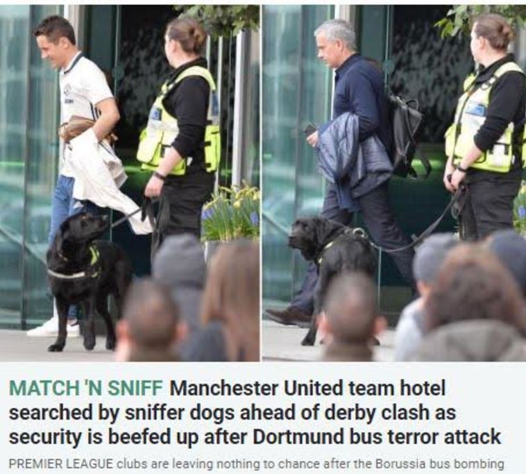 כלבים מחפשים אחר פצצה