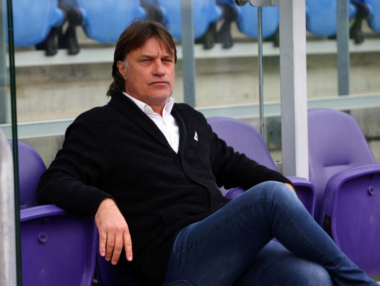 סלובודאן דראפיץ'. המאמן מצפה ליותר מנילסן (אודי ציטיאט)