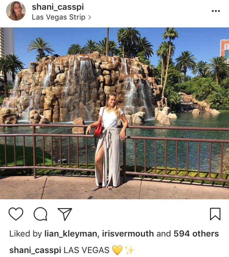 התענוגות בווגאס (אינסטגרם)