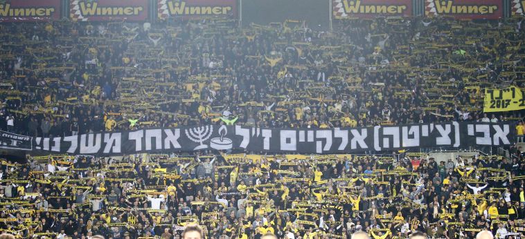 אפקט טדי. אוהדי בית