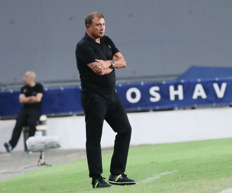 לוי. צריך לאלתר מעט בסגל (דני מרון)