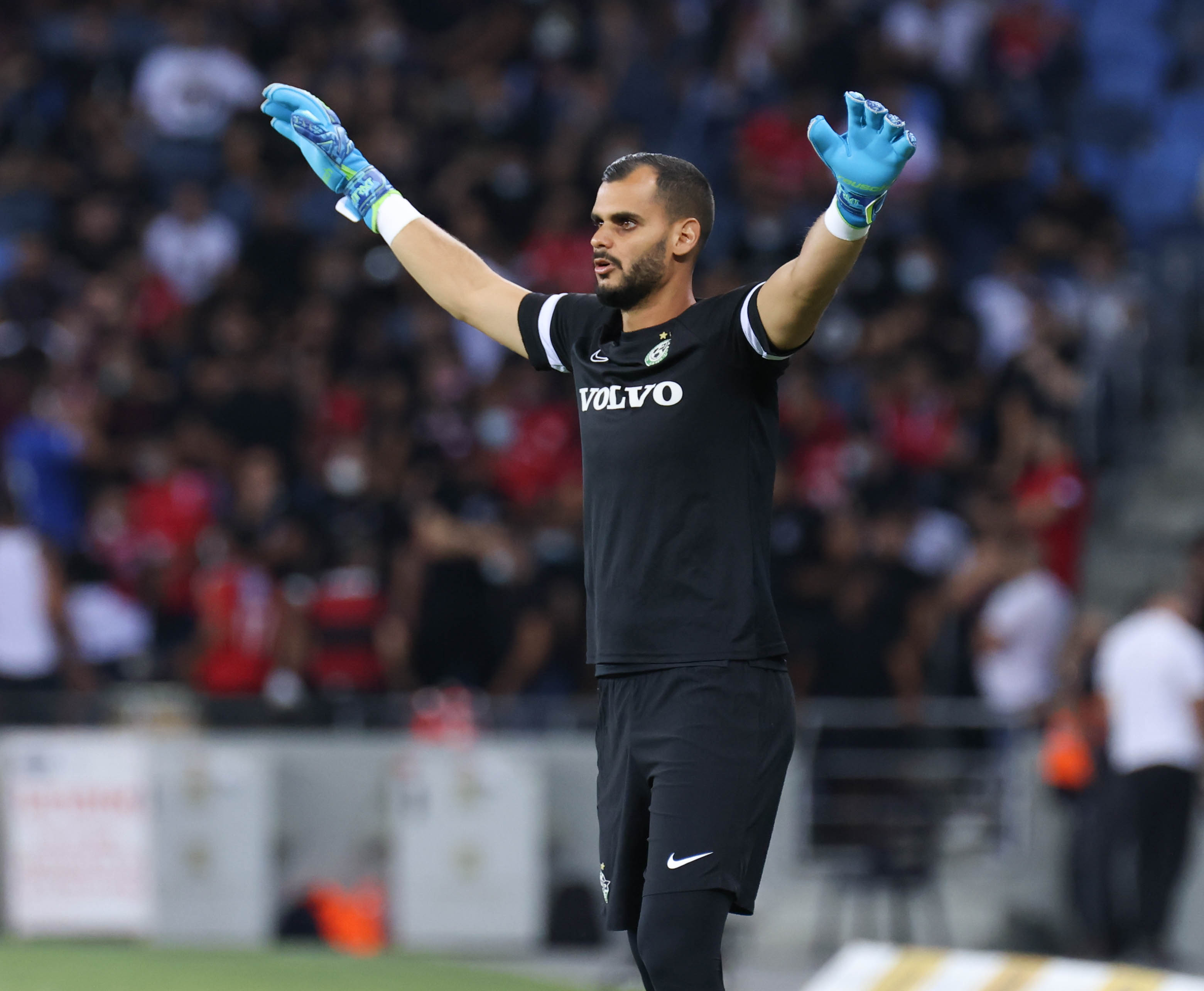 שוער מכבי חיפה רועי משפתי