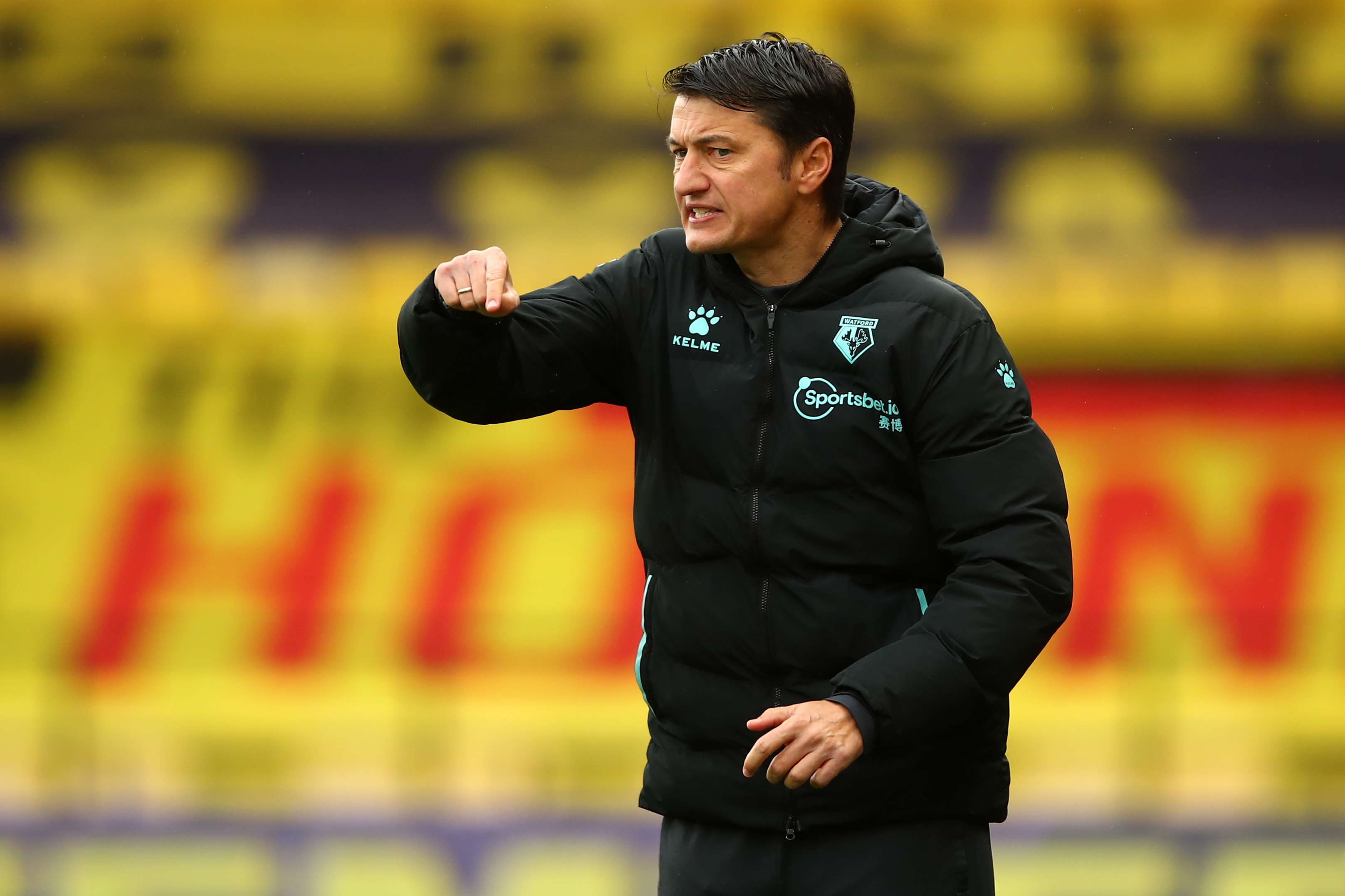 מאמן ווטפורד, ולאדן איביץ'