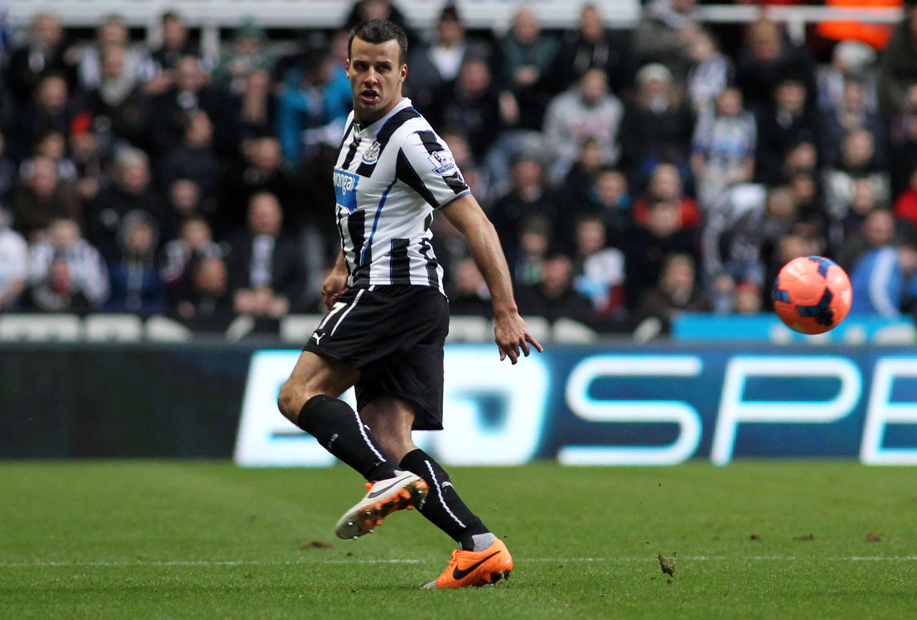 סטיבן טיילור במדי ניוקאסל בשנת 2014