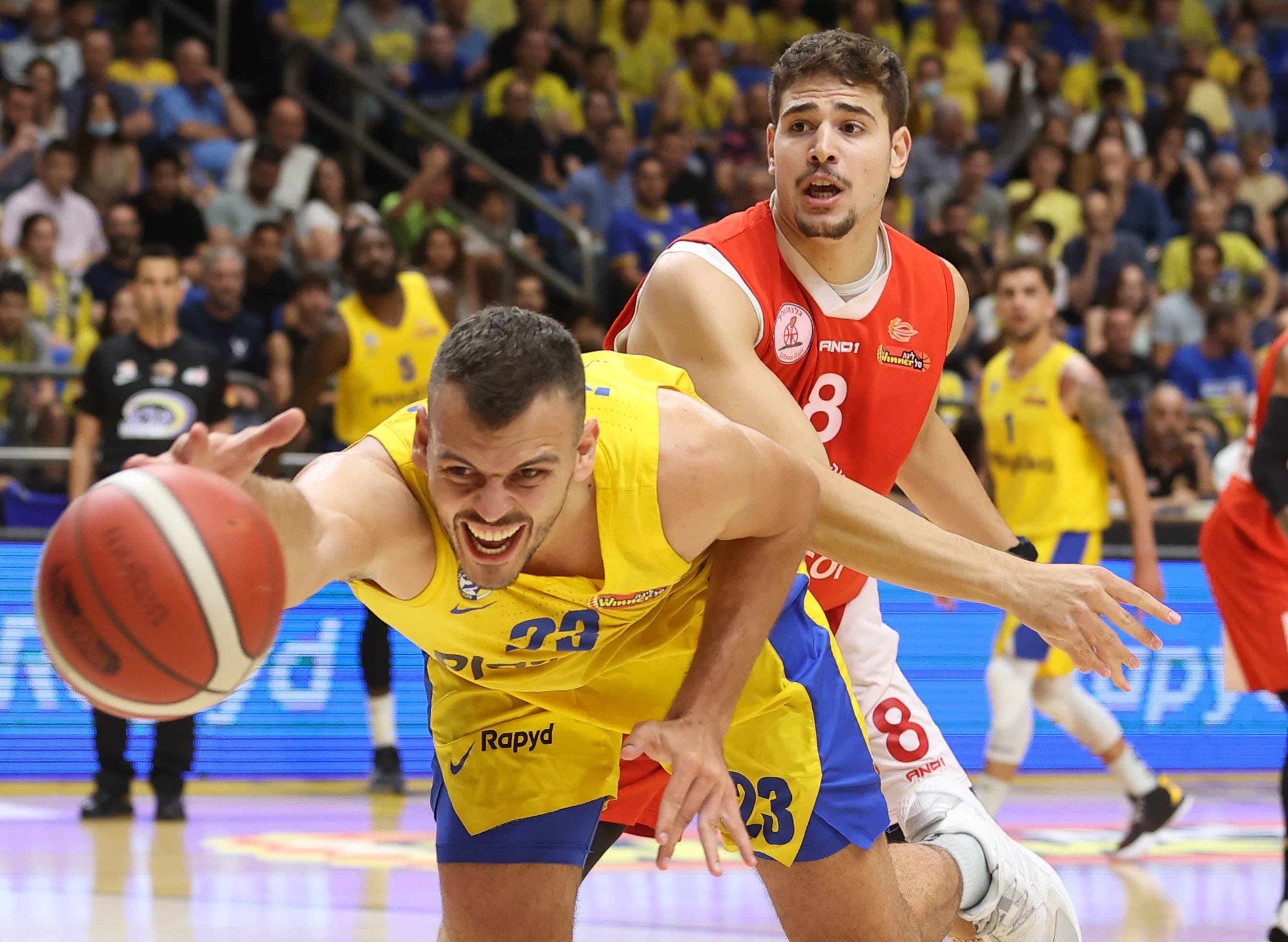 שחקן מכבי תל אביב אנטה ז'יז'יץ' מול שחקן הפועל גלבוע/גליל יותם חנוכי