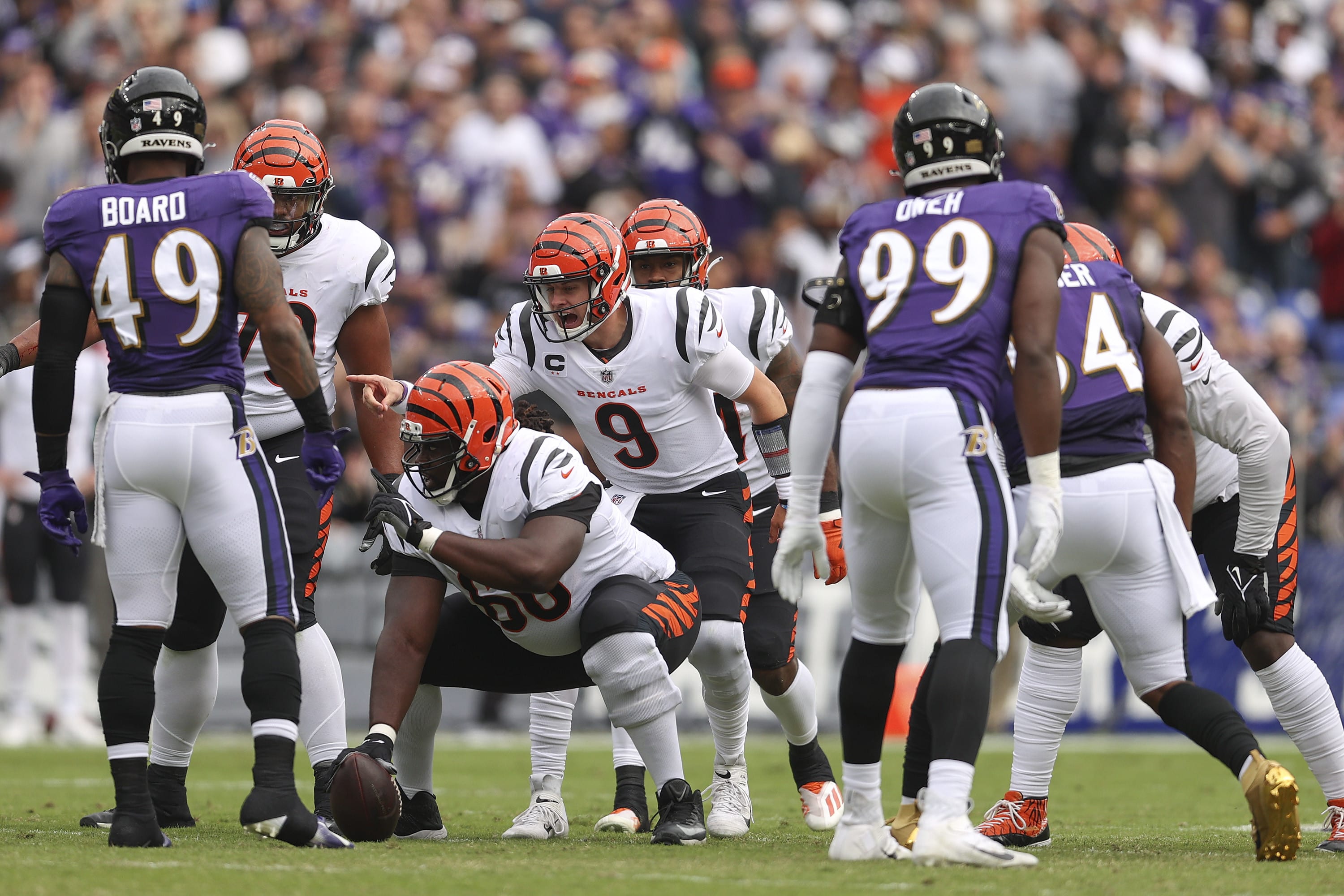 ג'ו בורו שחקן סינסינטי בנגאלס