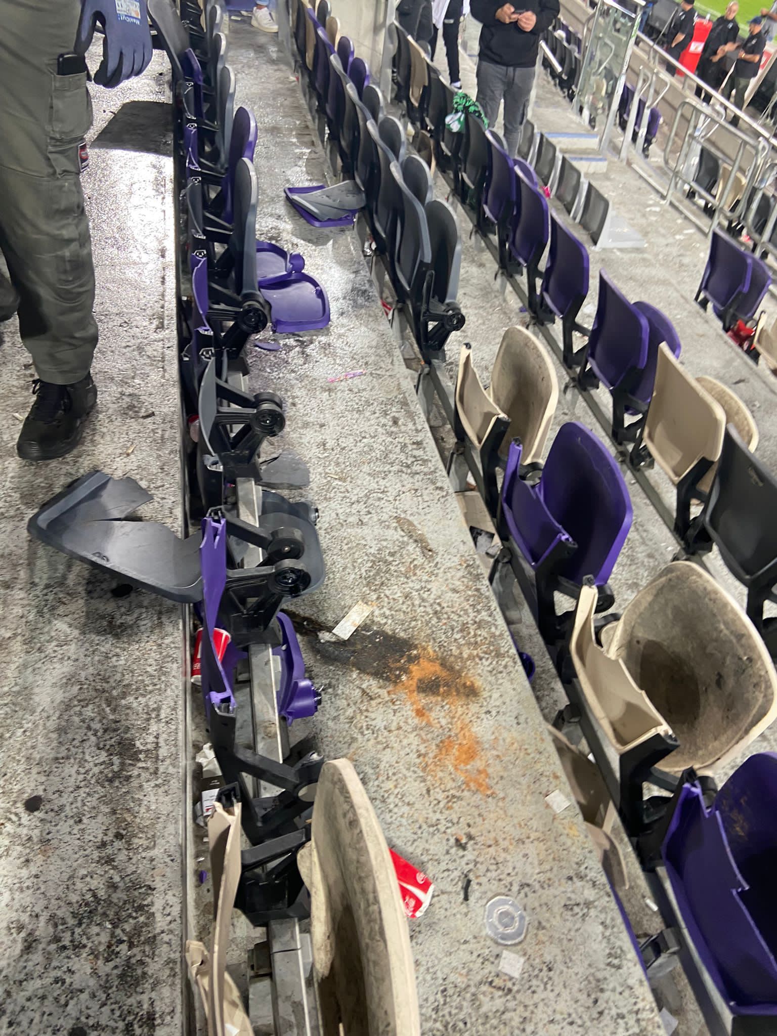 אוהדי מכבי חיפה בבלומפילד