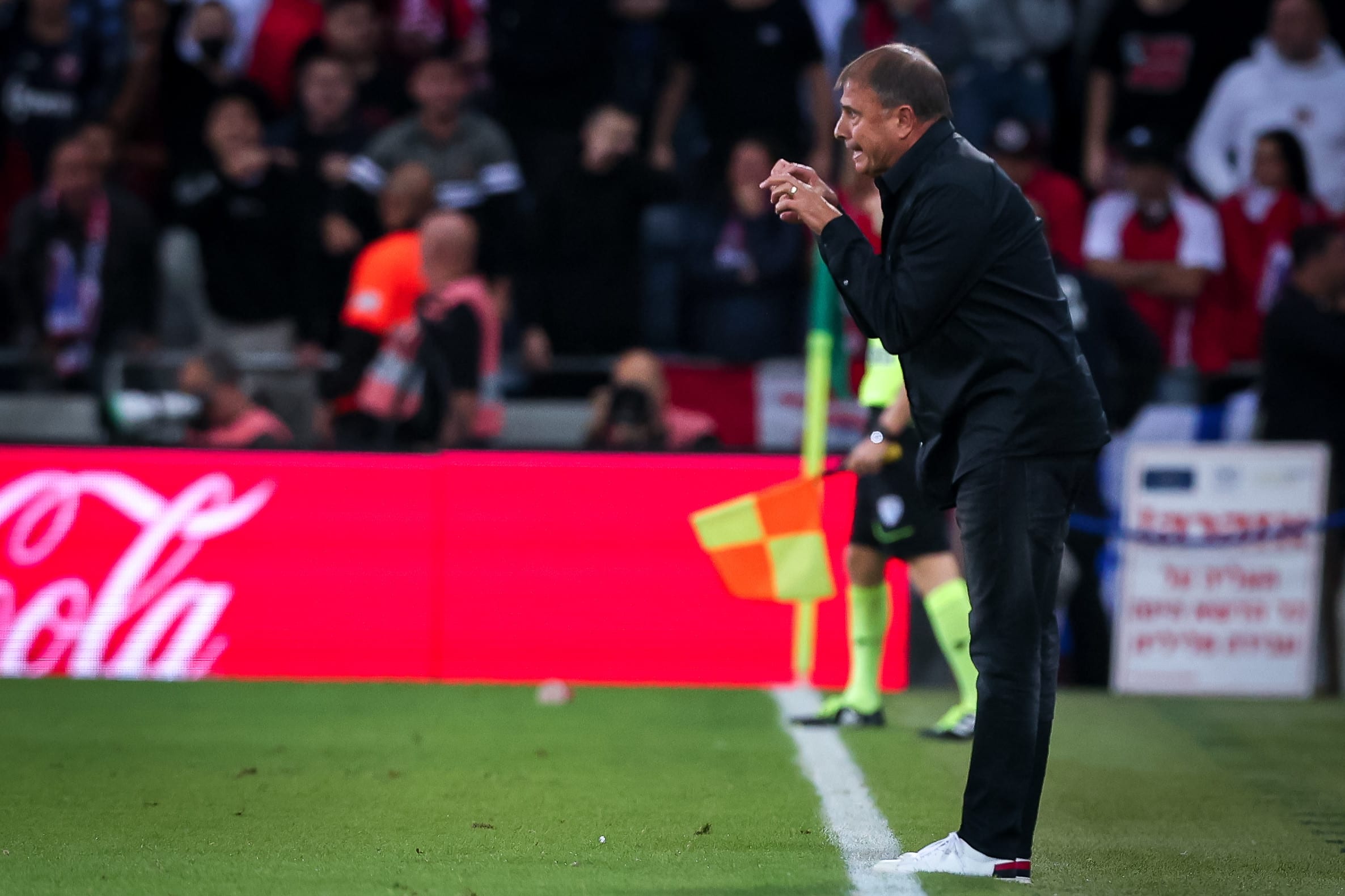 אלישע לוי, מאמן הפועל חיפה