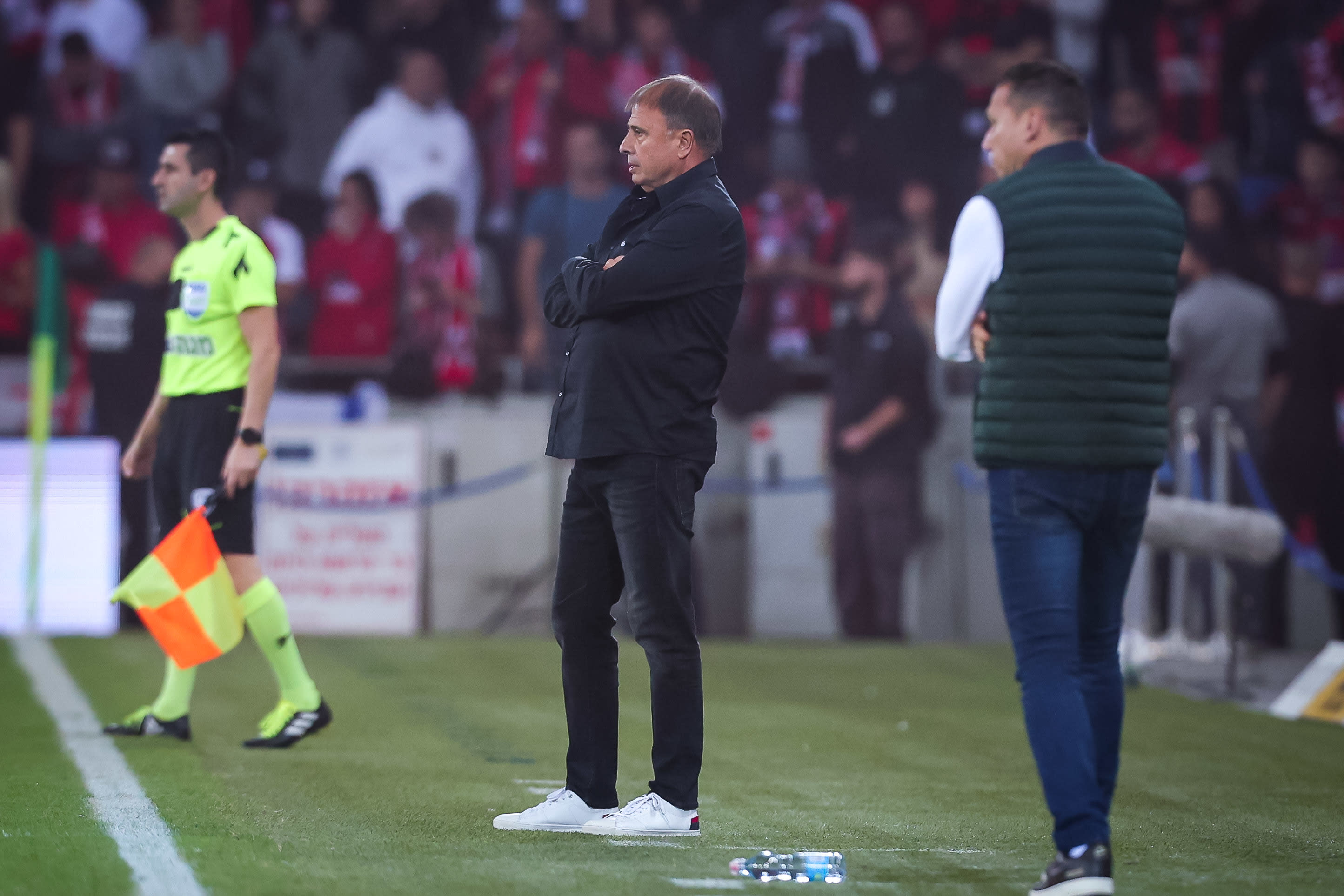 אלישע לוי, מאמן הפועל חיפה