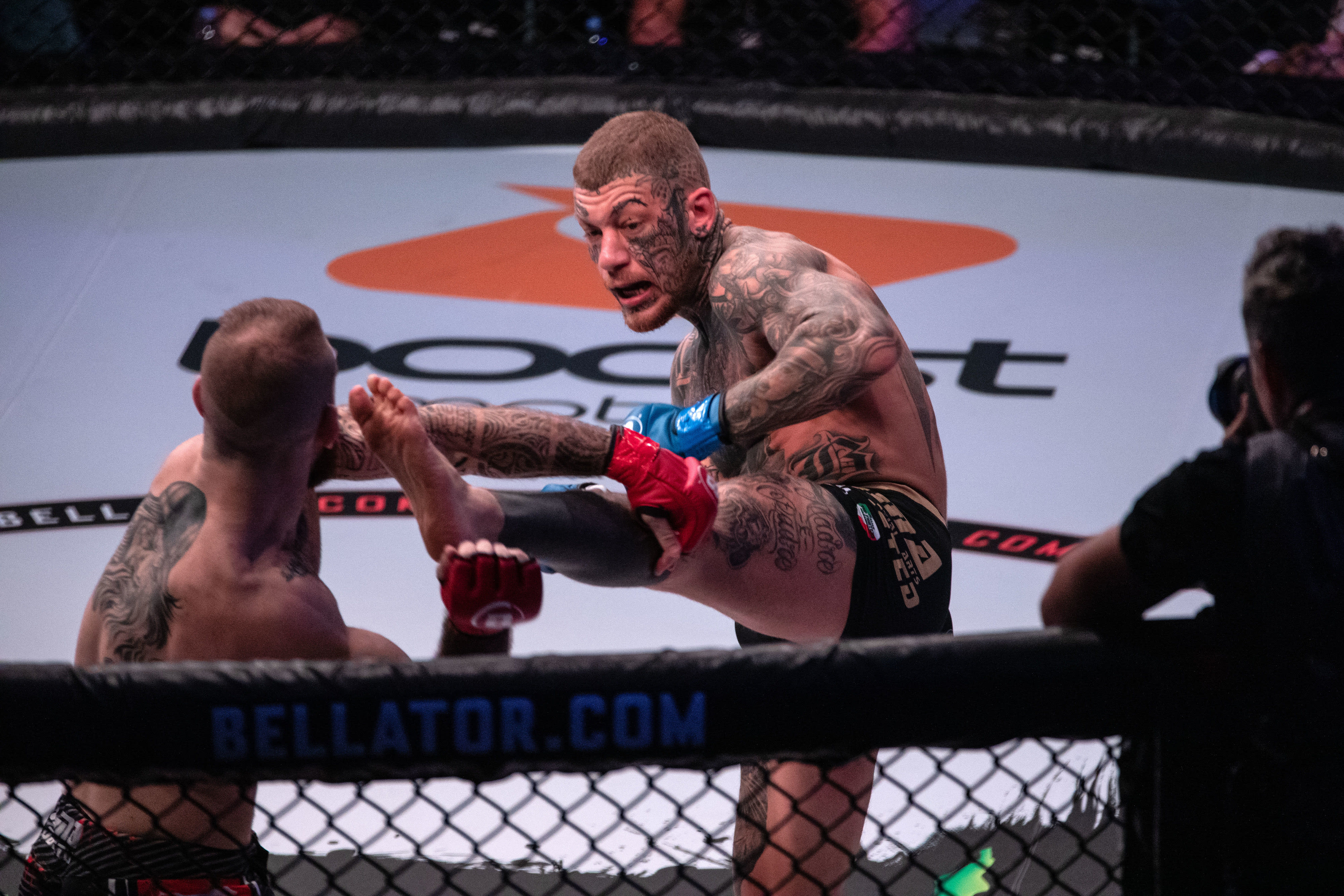 וולטר פולייסי לוחם MMA איטלקי