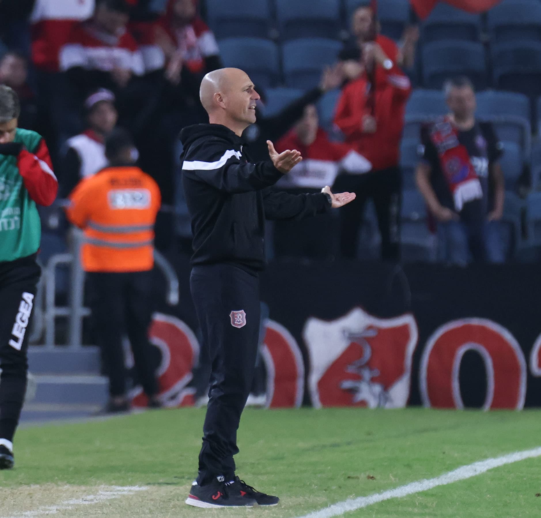 זיו אריה, מאמן הפועל ירושלים