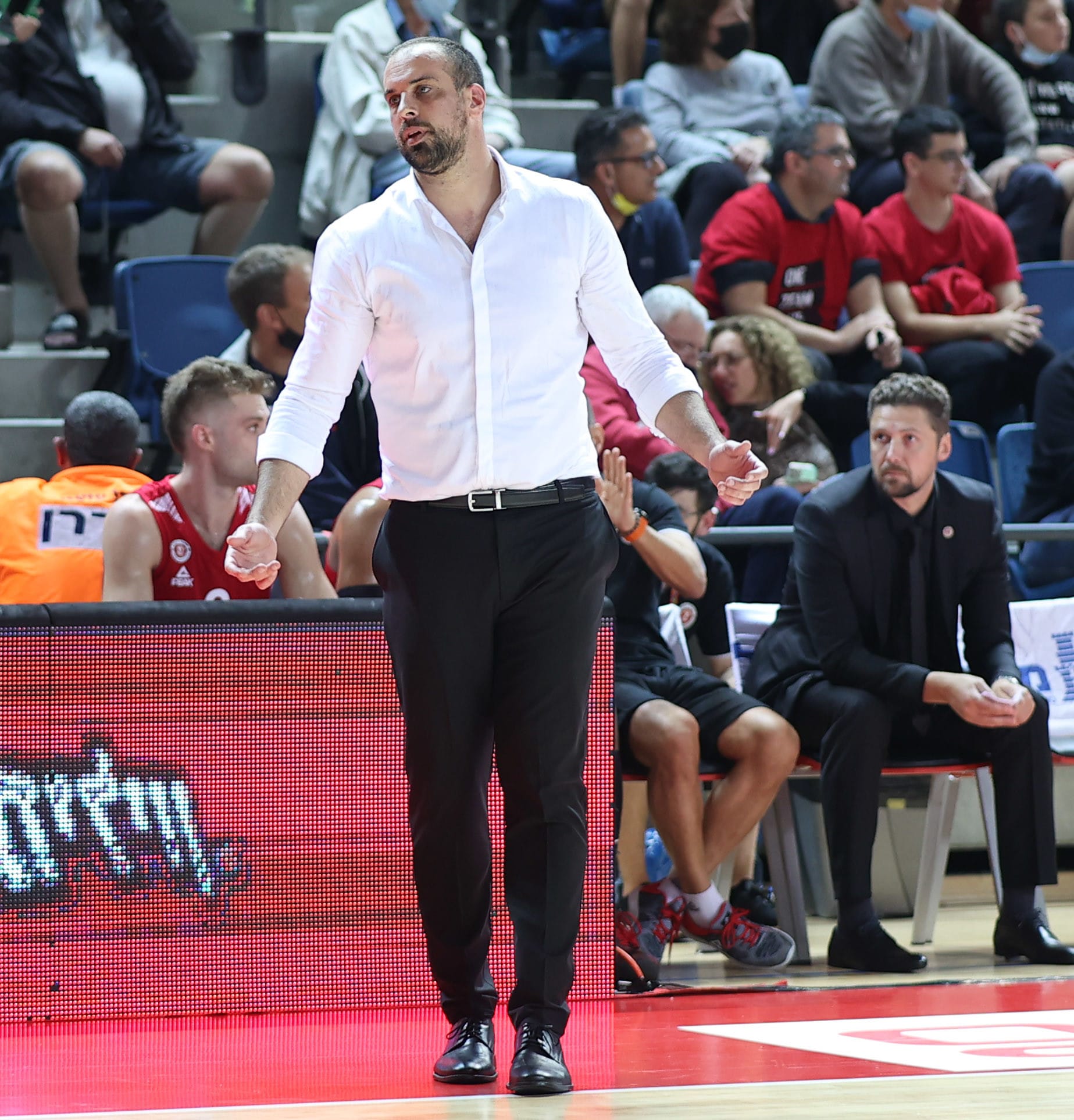 מאמן הפועל ירושלים יותם הלפרין