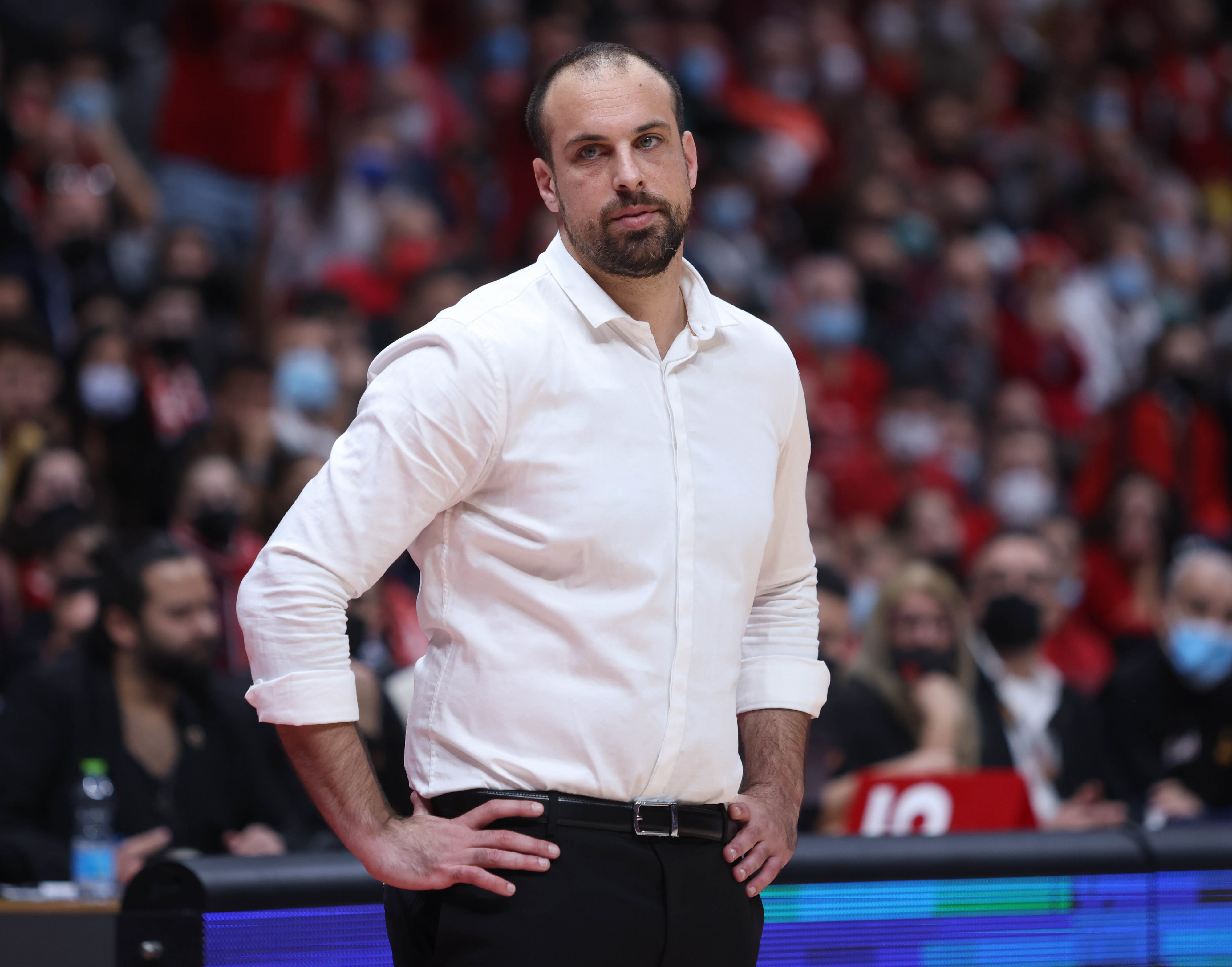 מאמן הפועל ירושלים יותם הלפרין