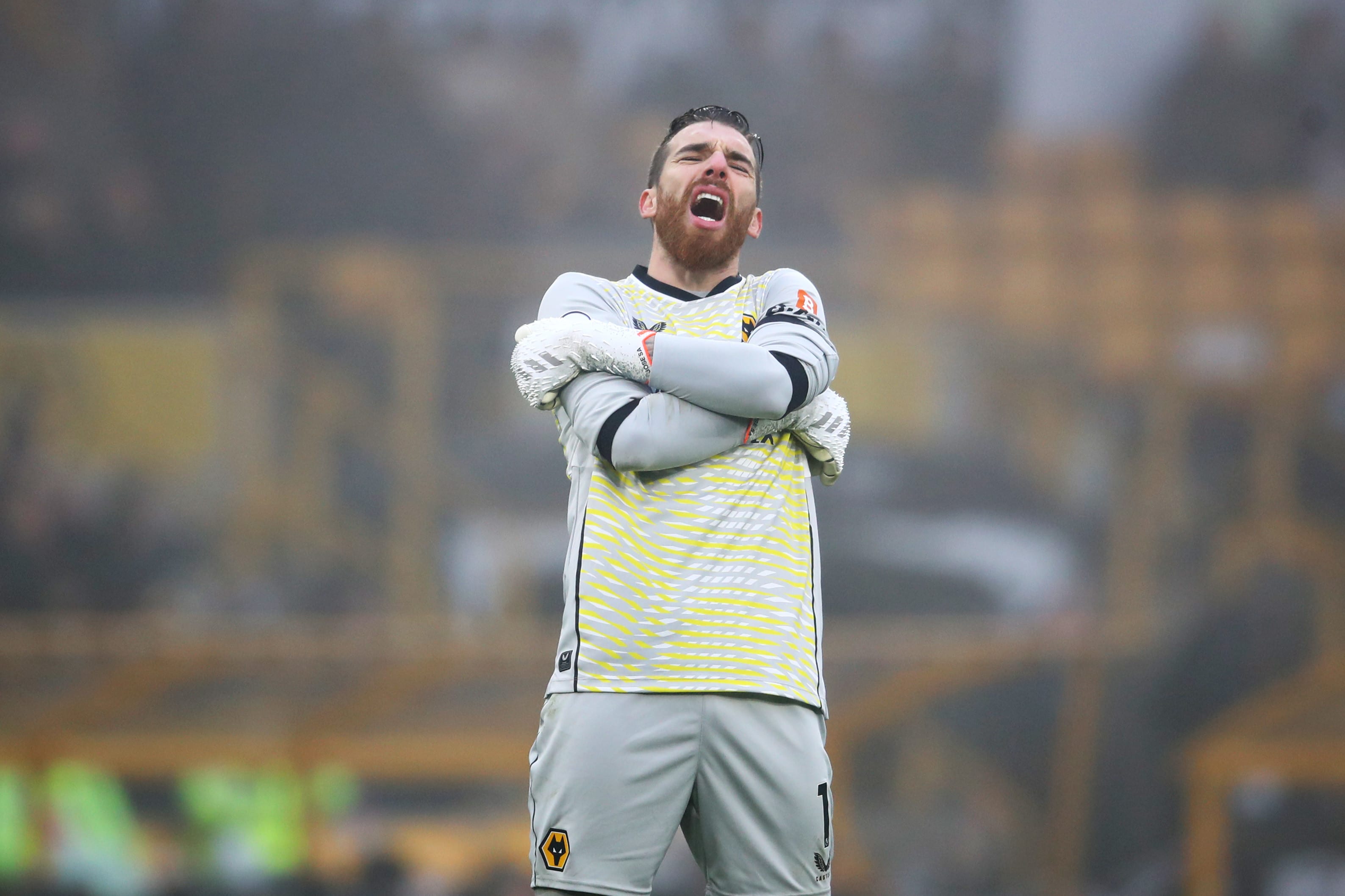 ז'וזה סה שוער וולבס