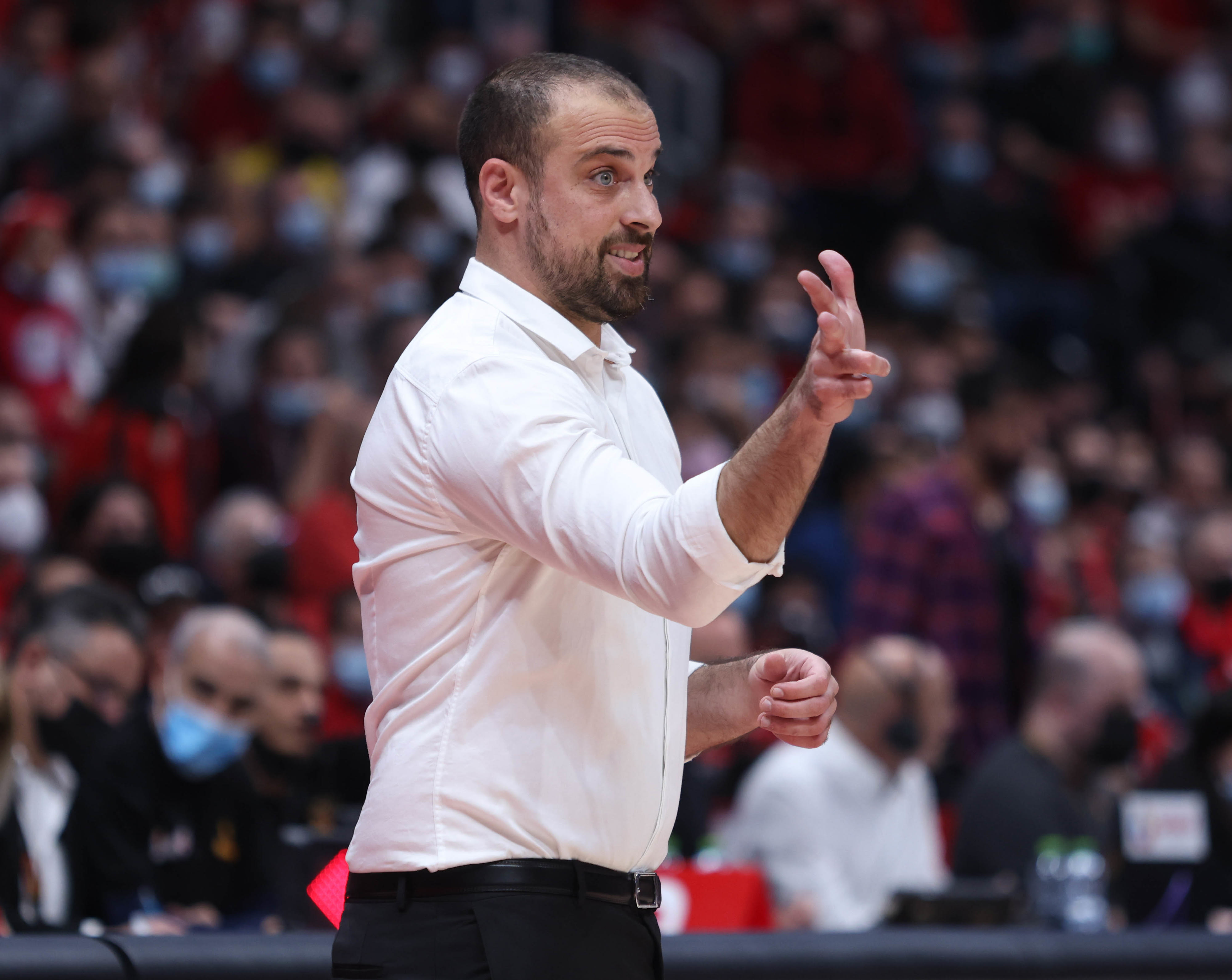 מאמן הפועל ירושלים יותם הלפרין