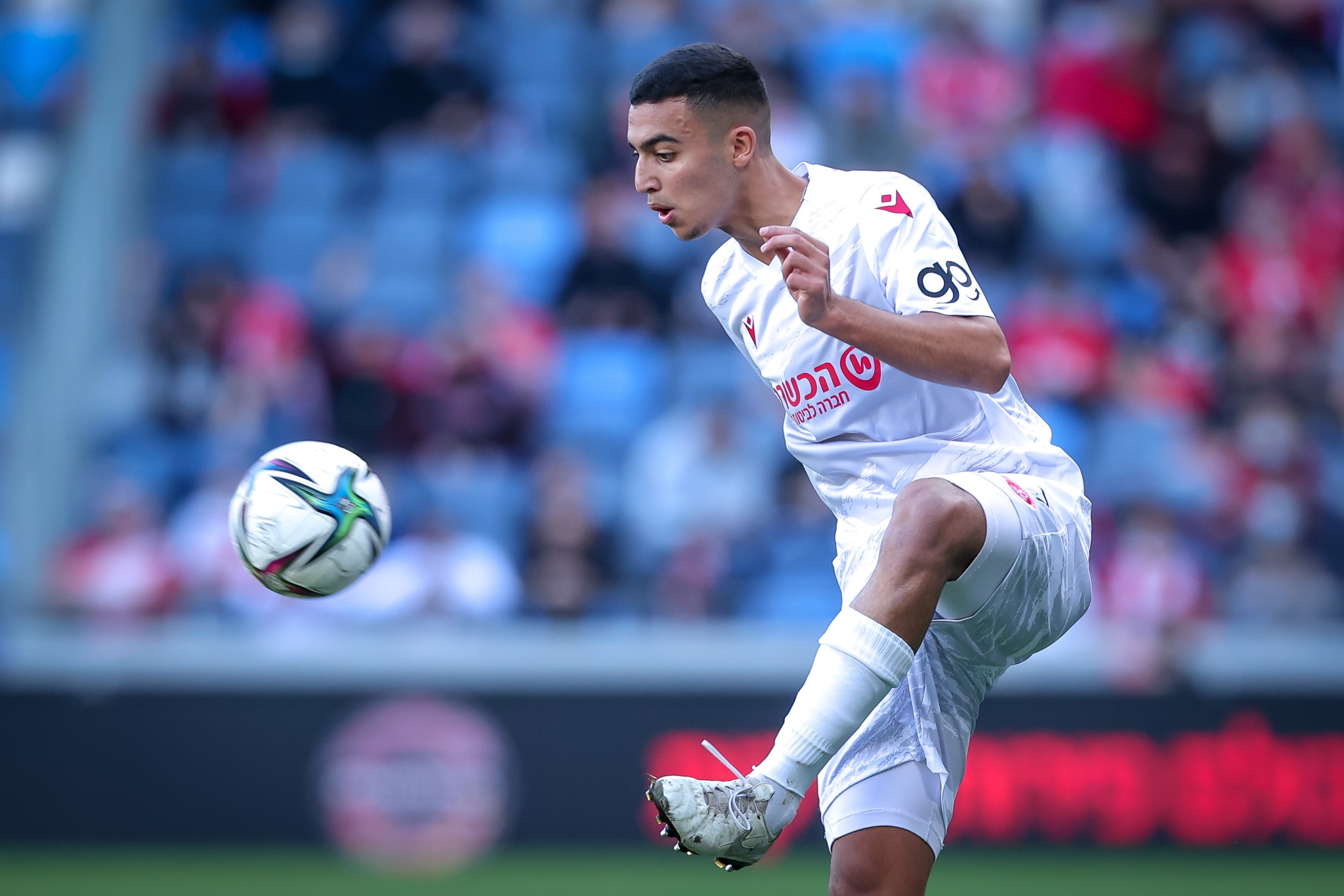 שחקן הפועל תל אביב אור ישראלוב