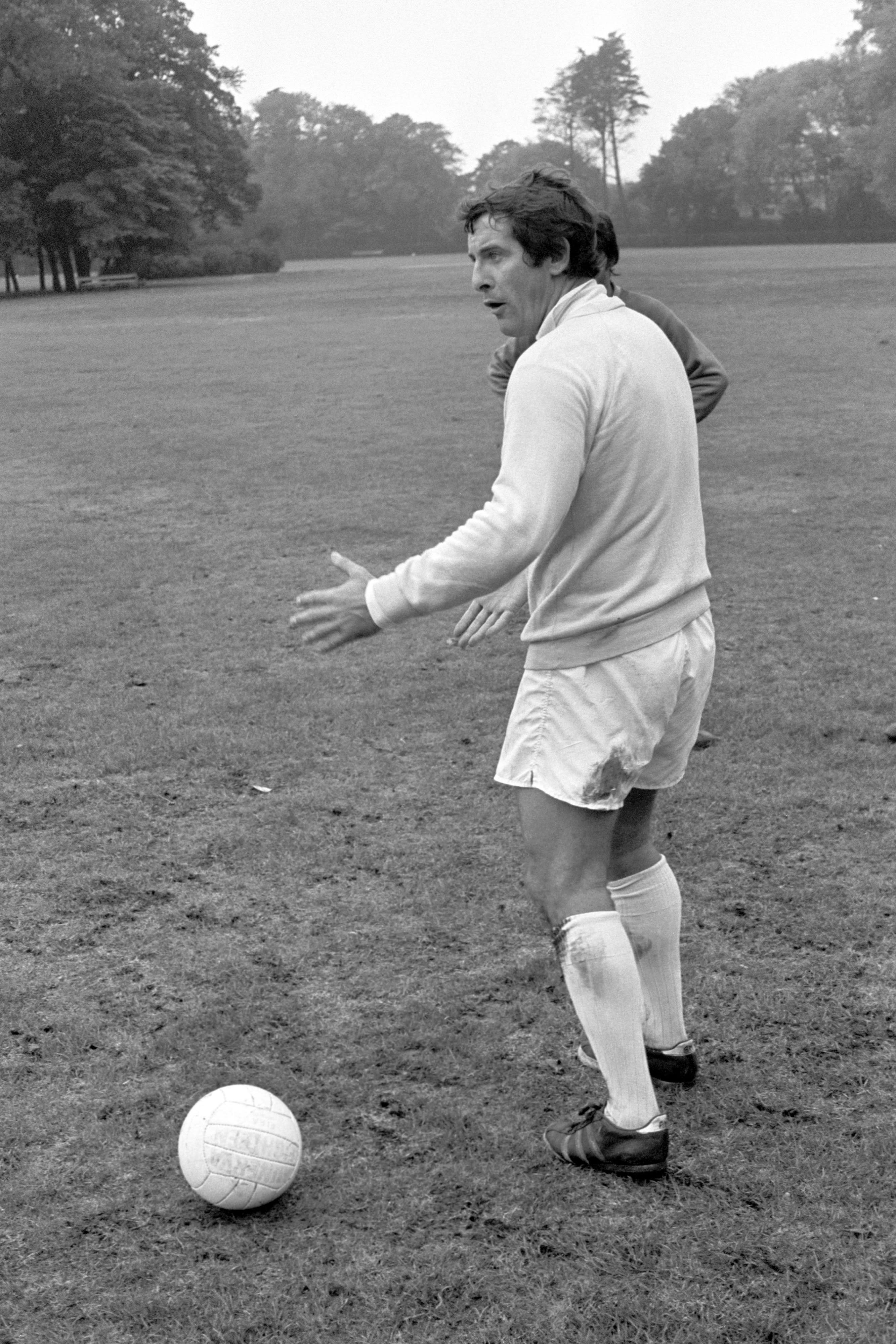 מאמן ברייטון אלן מאלרי