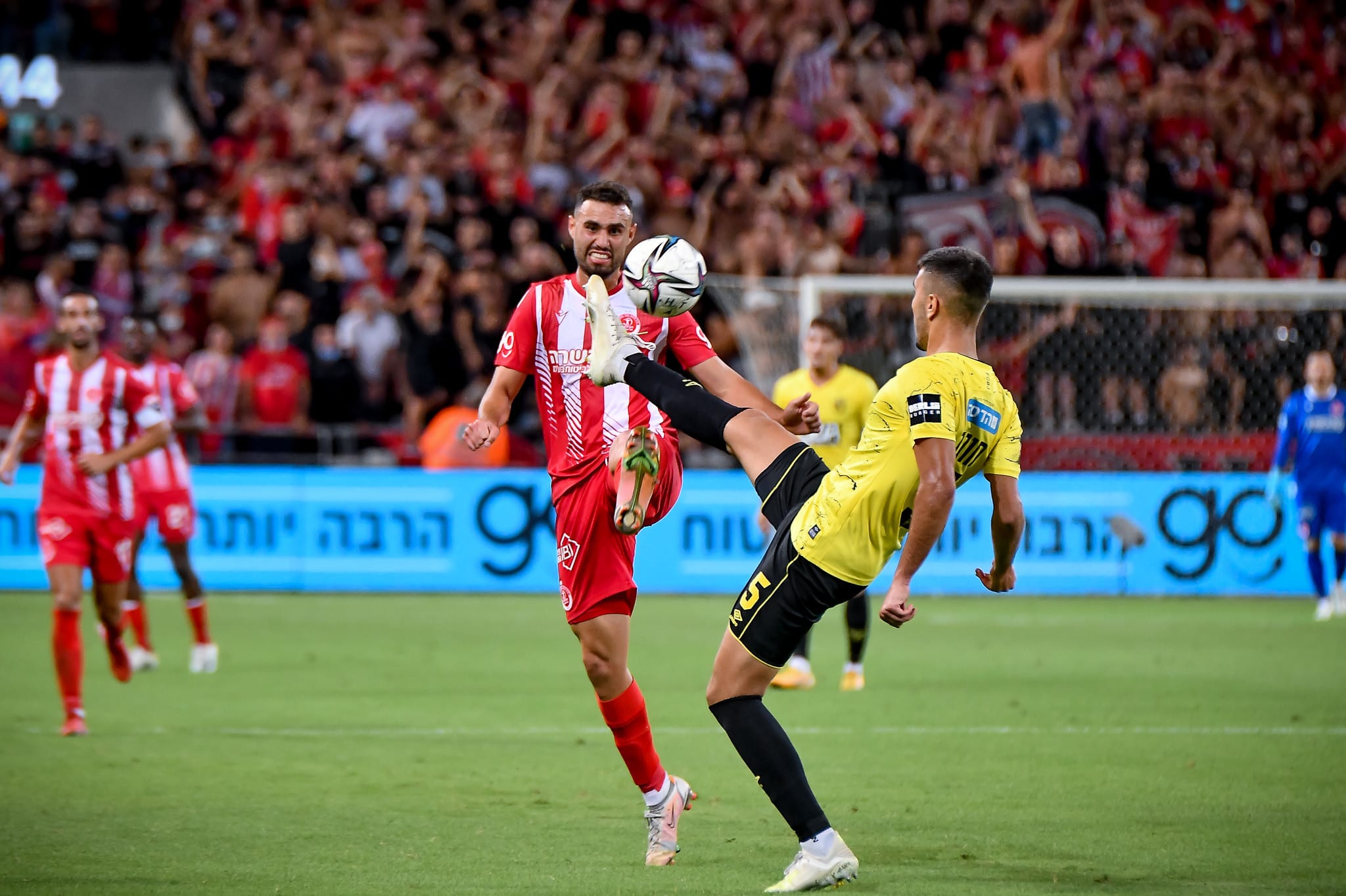 יואב תומר שחקן הפועל תל אביב מול דוד חוג'ה שחקן בית