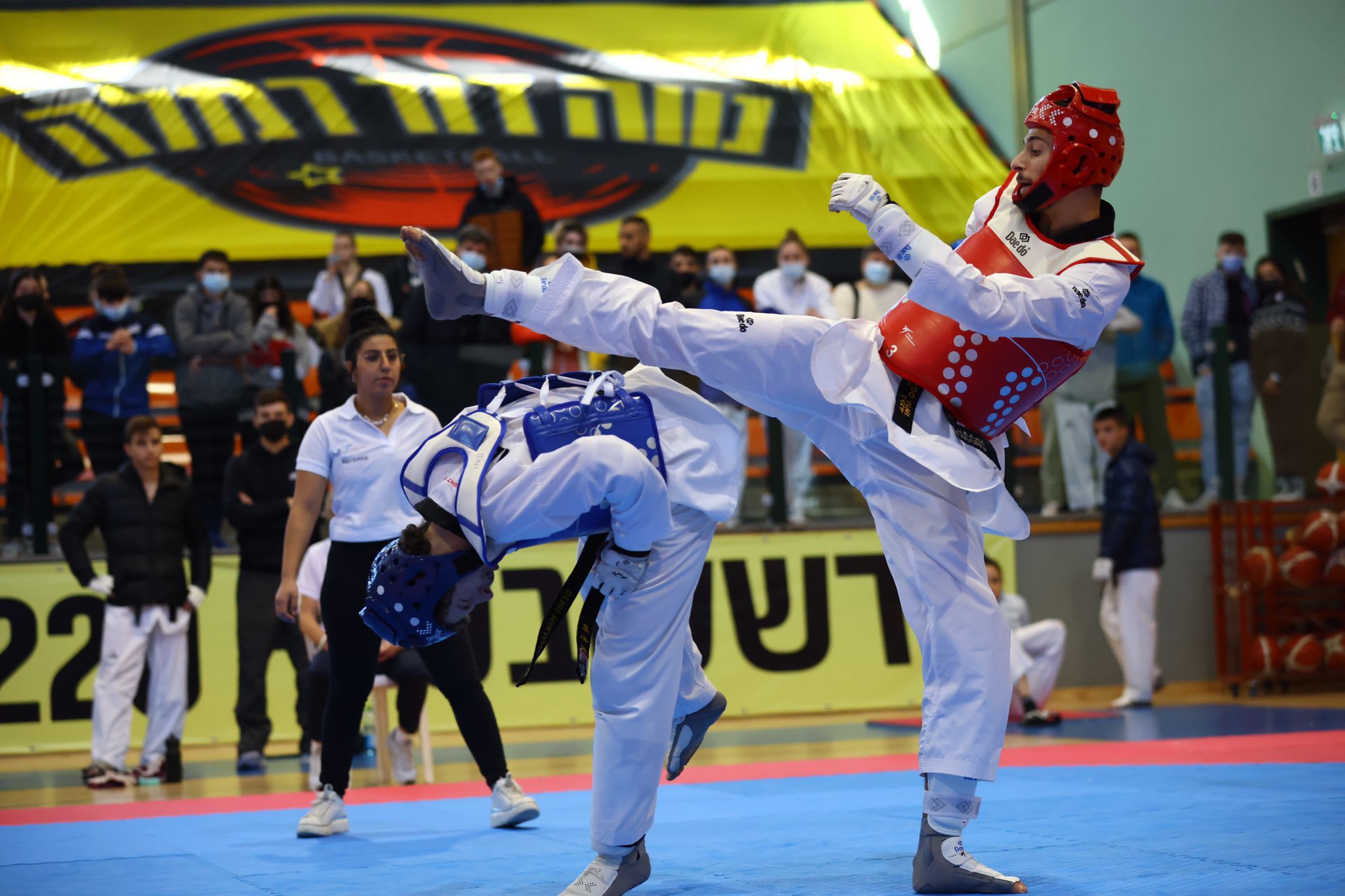 נמרוד קריביצקי