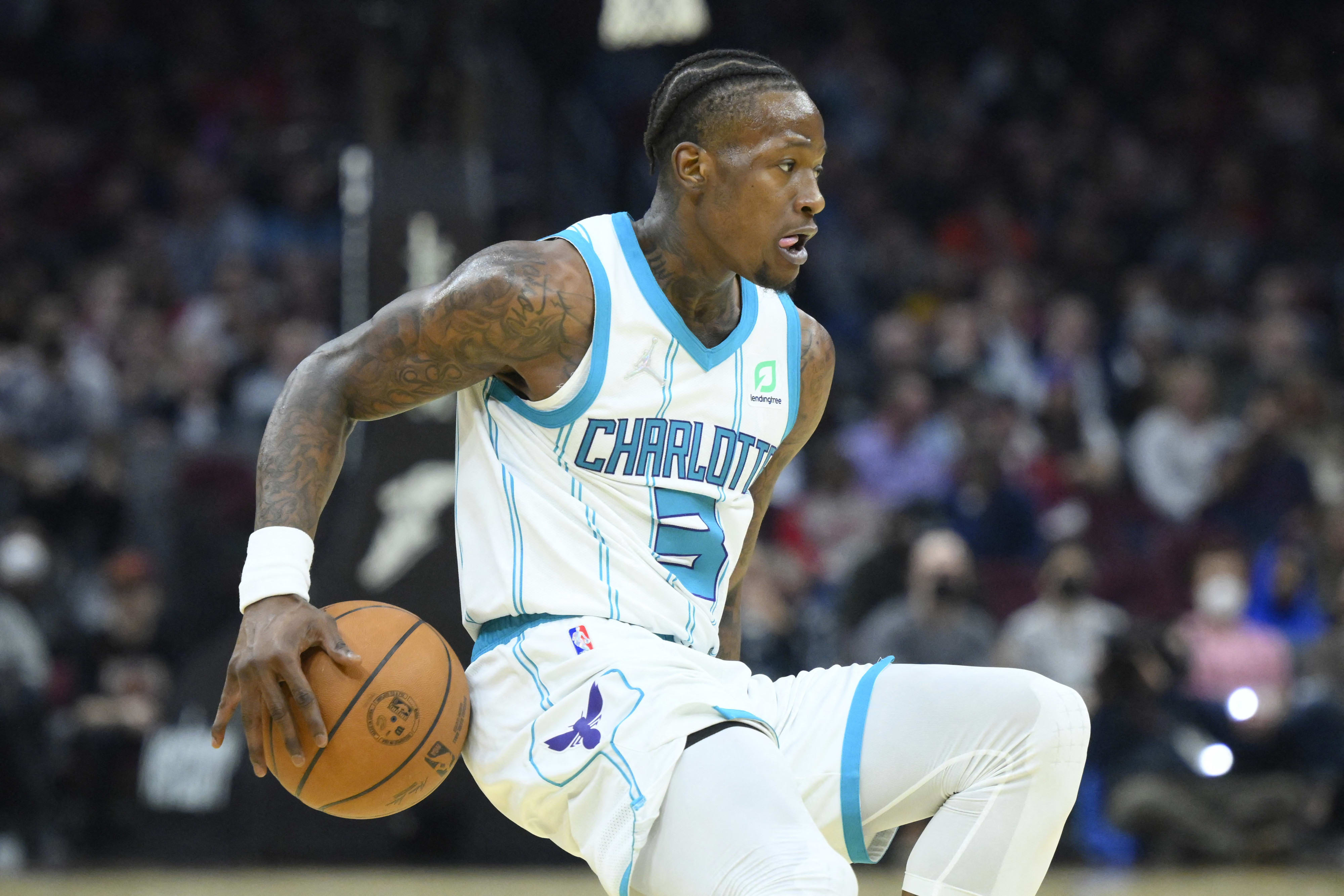 טרי רוז'יר, שחקן שארלוט הורנטס