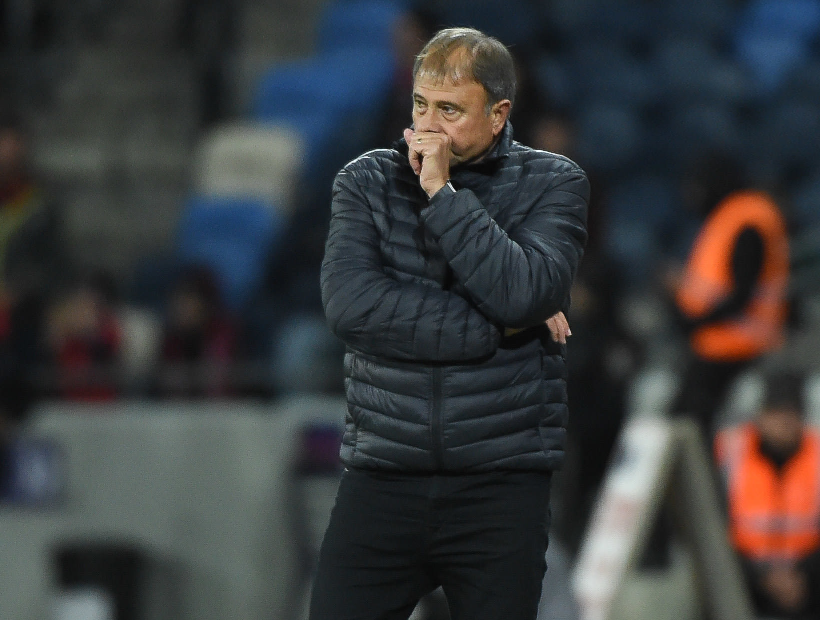 אלישע לוי, מאמן הפועל חיפה