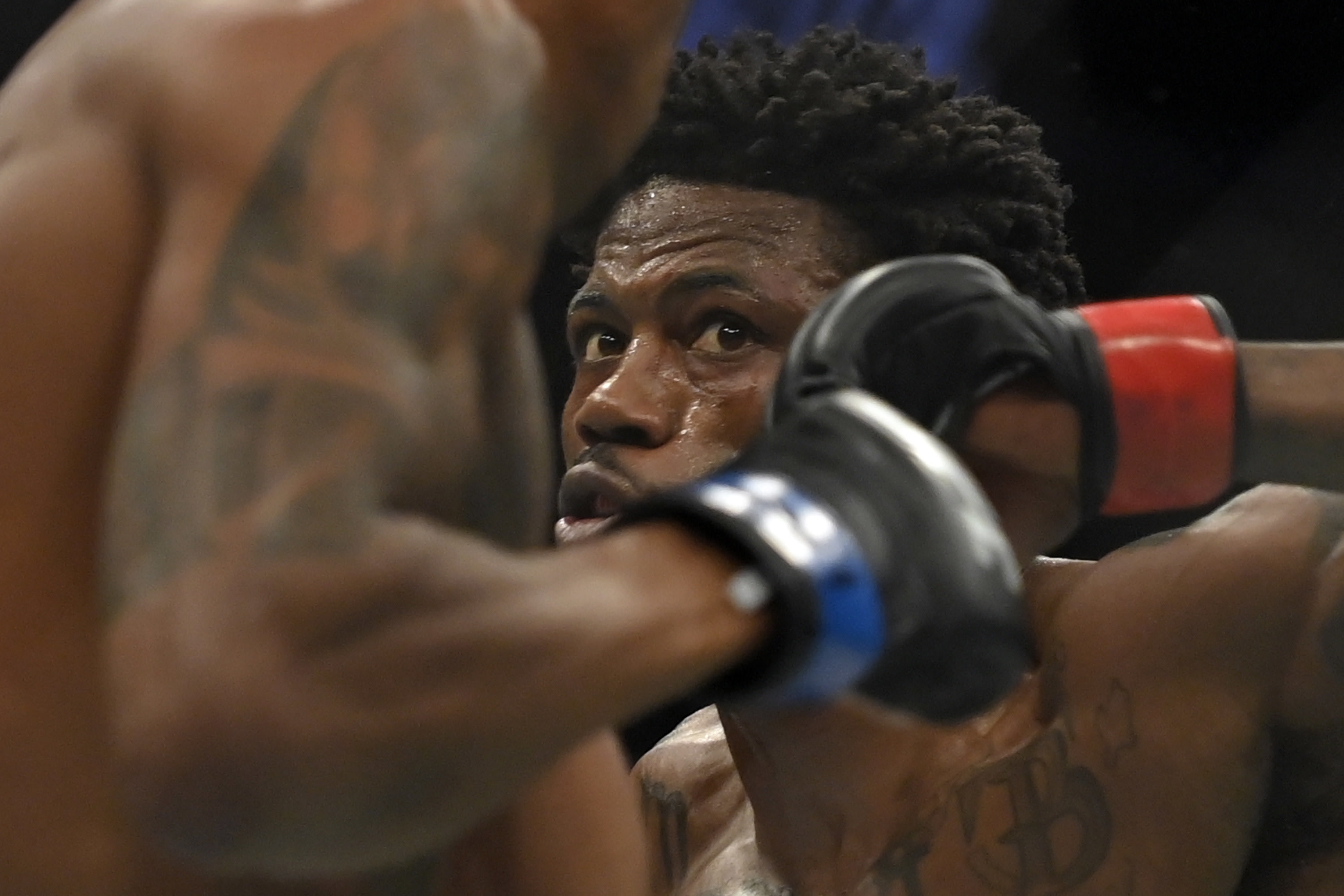 קווין הולנד לוחם UFC