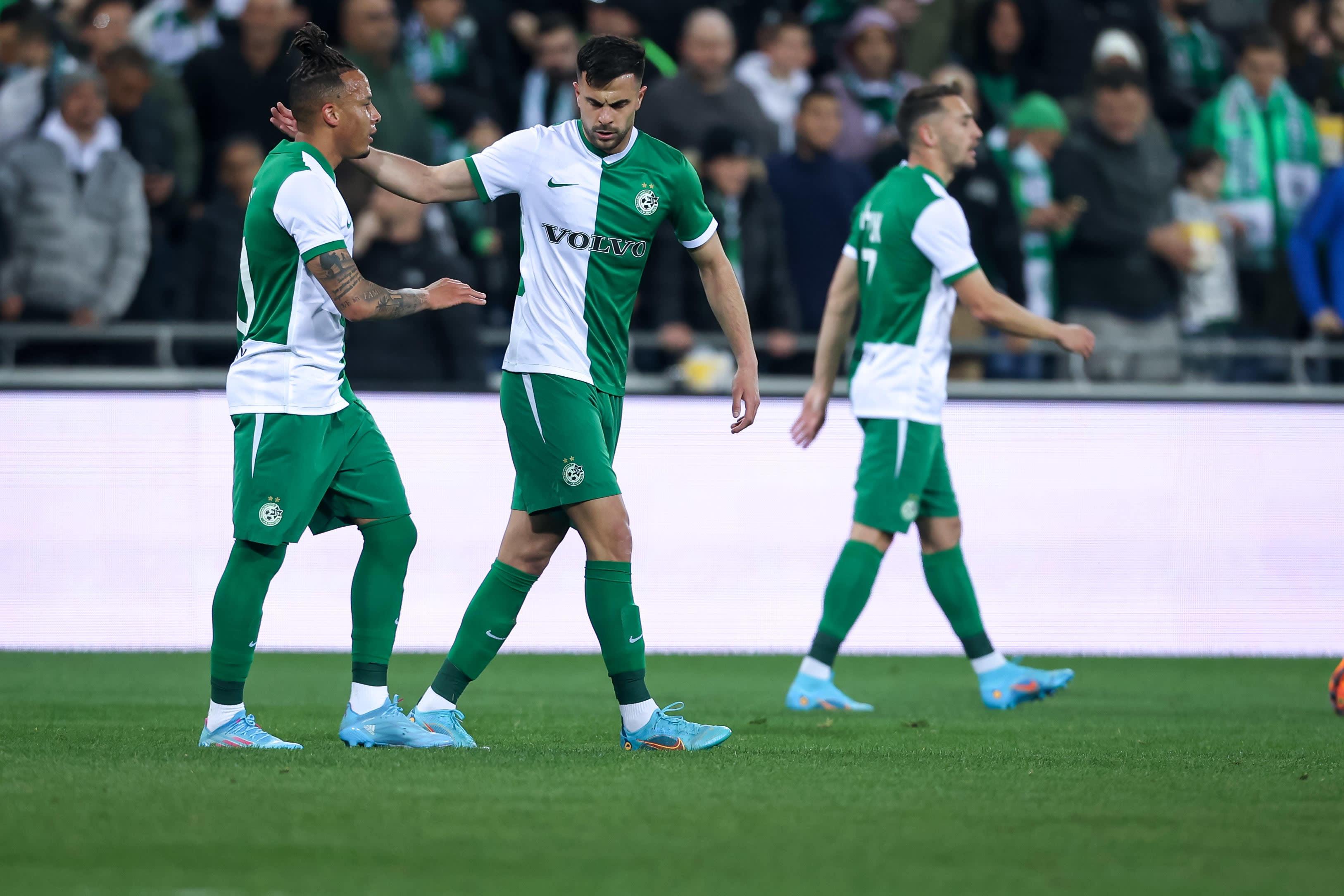 שחקני מכבי חיפה צ'ארון שרי, דין דוד