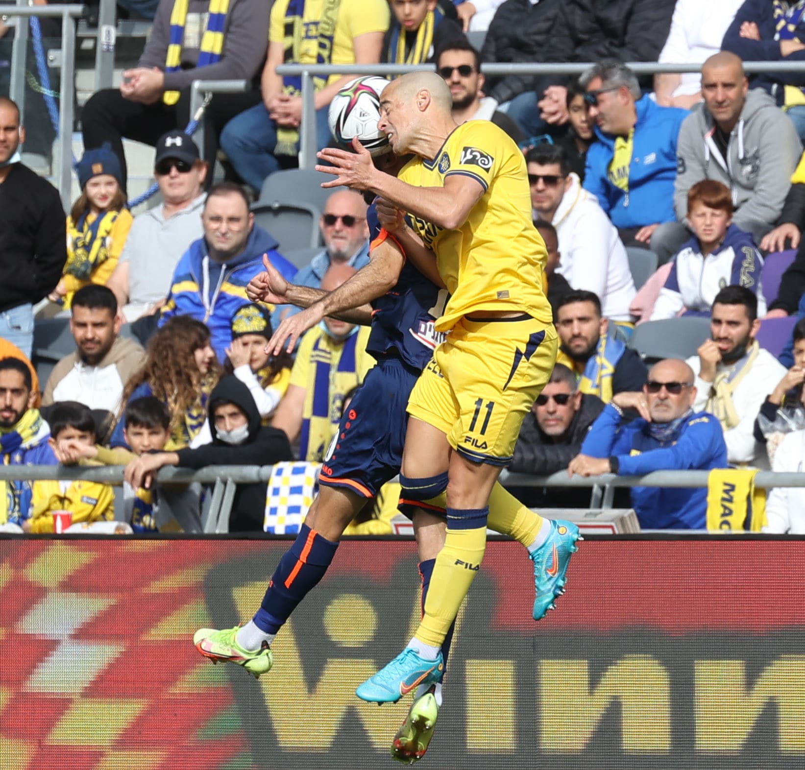 שחקן מכבי תל אביב טל בן חיים