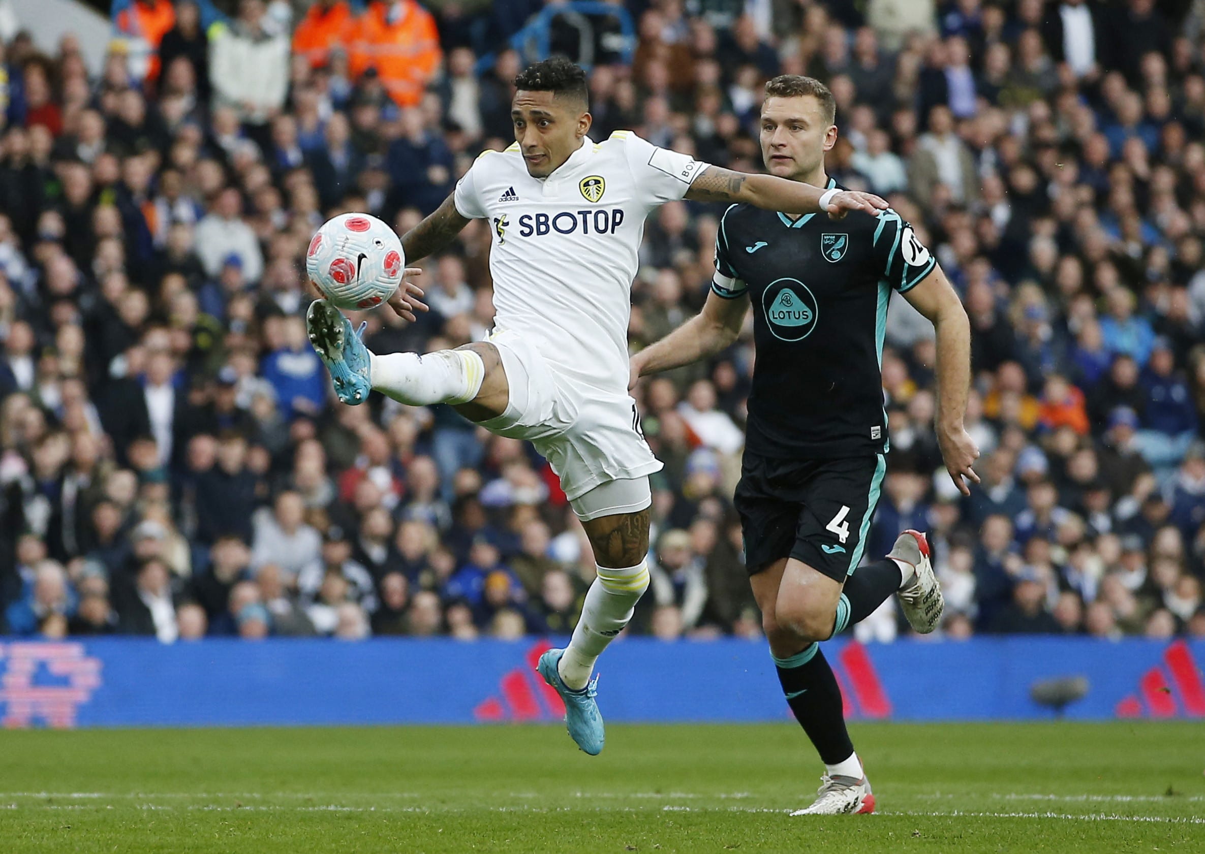 ראפינייה שחקן לידס