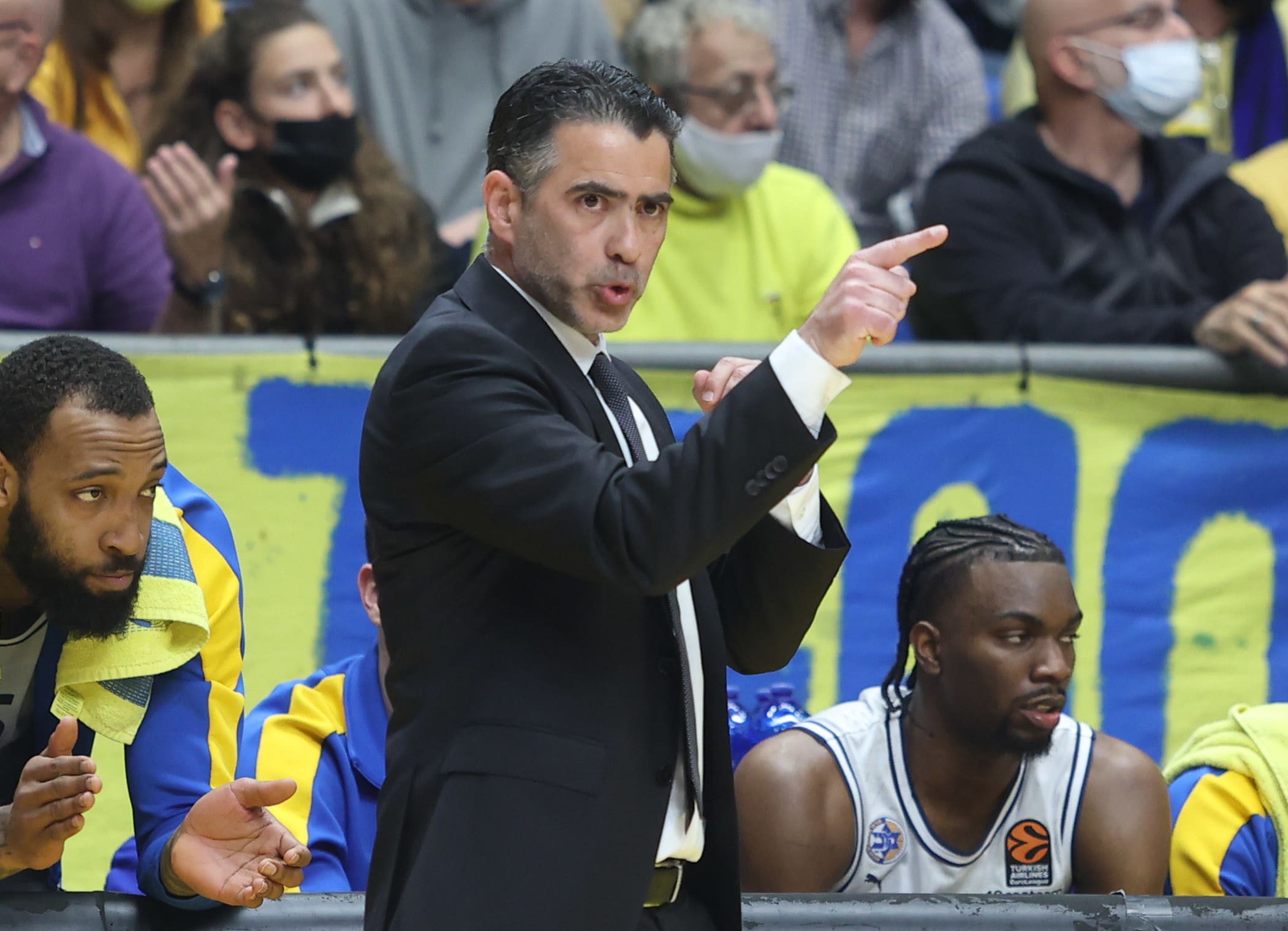 אבי אבן, מאמן מכבי תל אביב