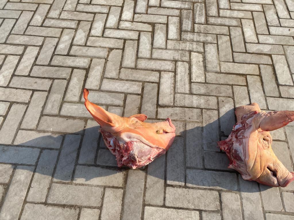ראשי חזיר מחוץ לביתו של בעלי הפועל תל אביב שרון ניסנוב