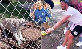 שחקן צ'לסי בן צ'ילוול 