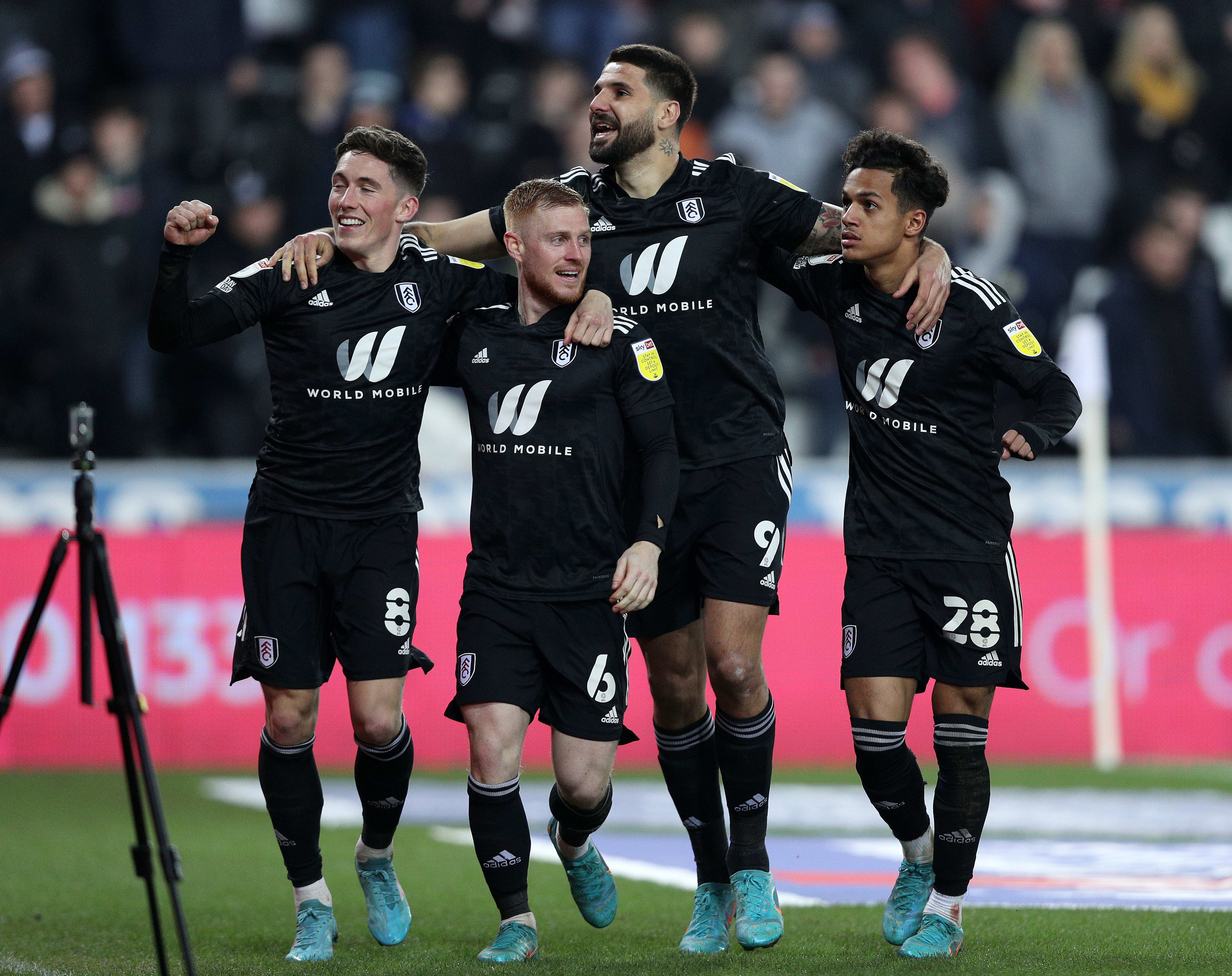 אלכסנדר מיטרוביץ' ושחקני פולהאם