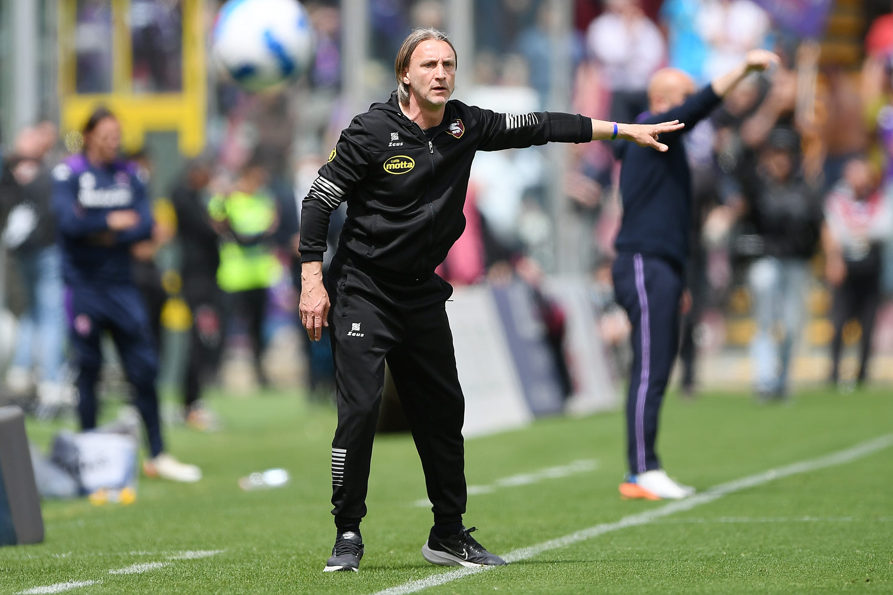 מאמן סלרניטנה, דוידה ניקולה