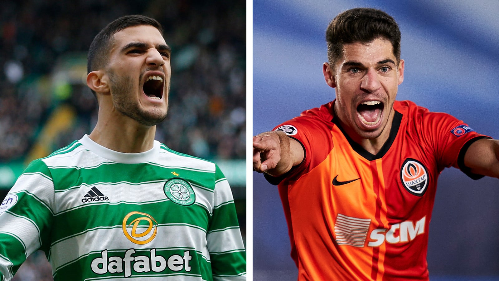 מפוצלת ליאל עבדה מנור סולומון