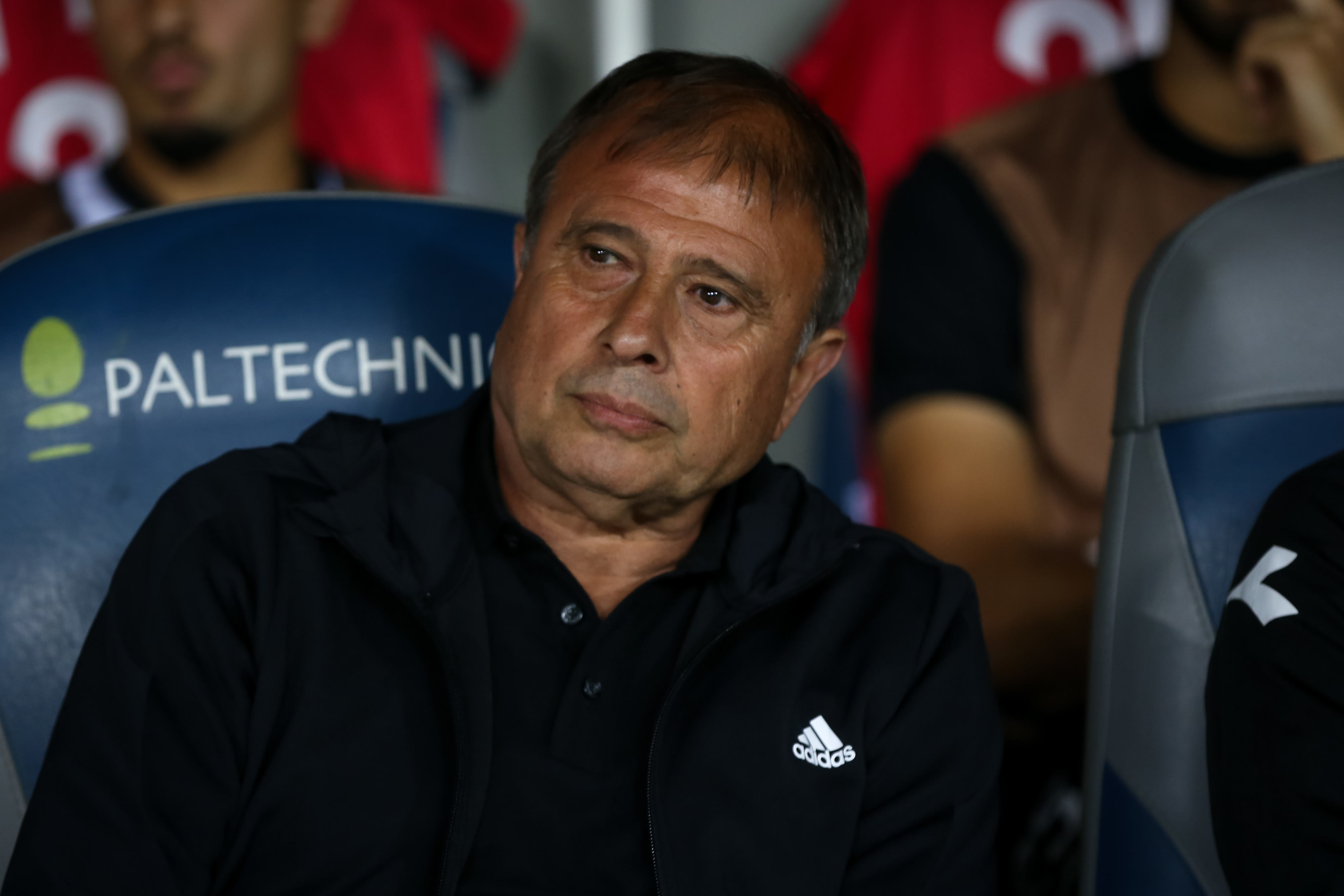 מאמן הפועל חיפה, אלישע לוי