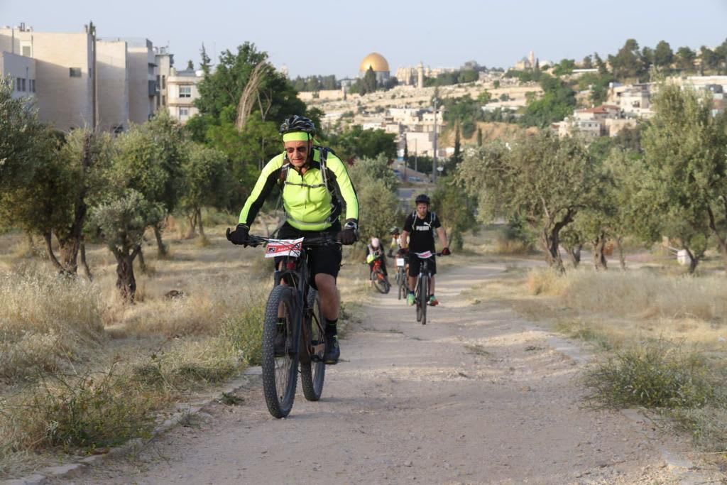 סובב נביעות ירושלים