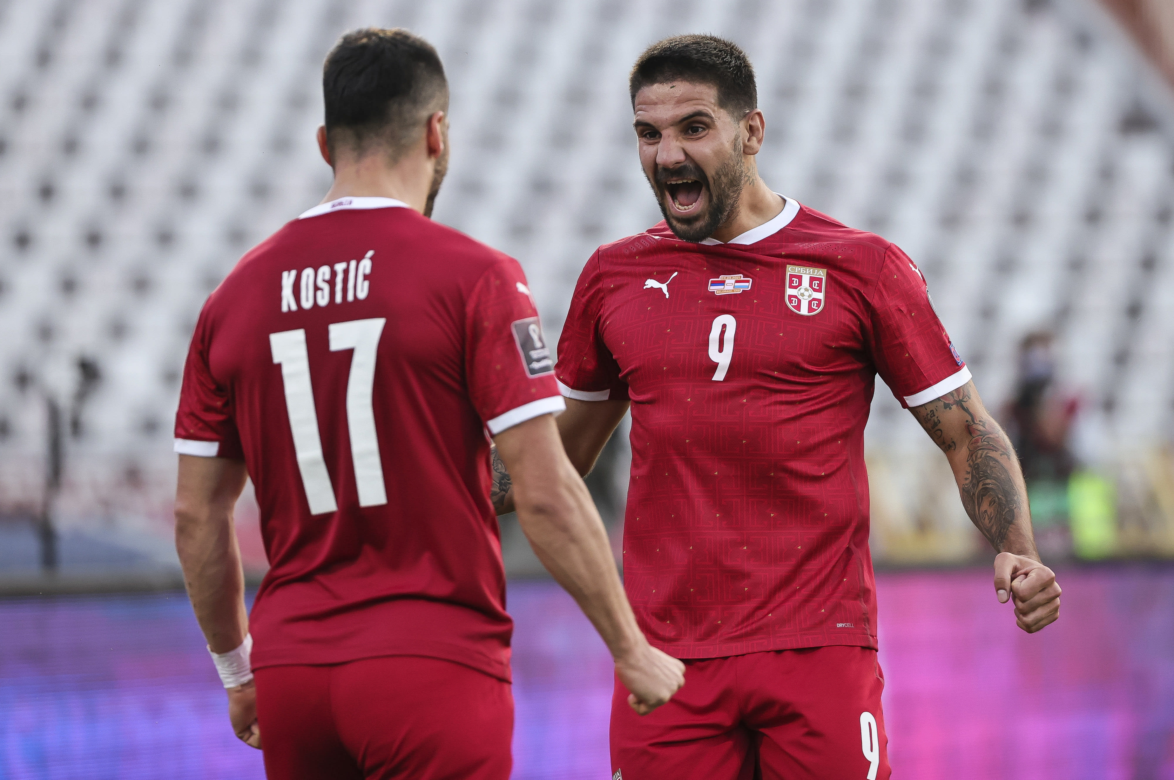 שחקן נבחרת סרביה, אלכסנדר מיטרוביץ'