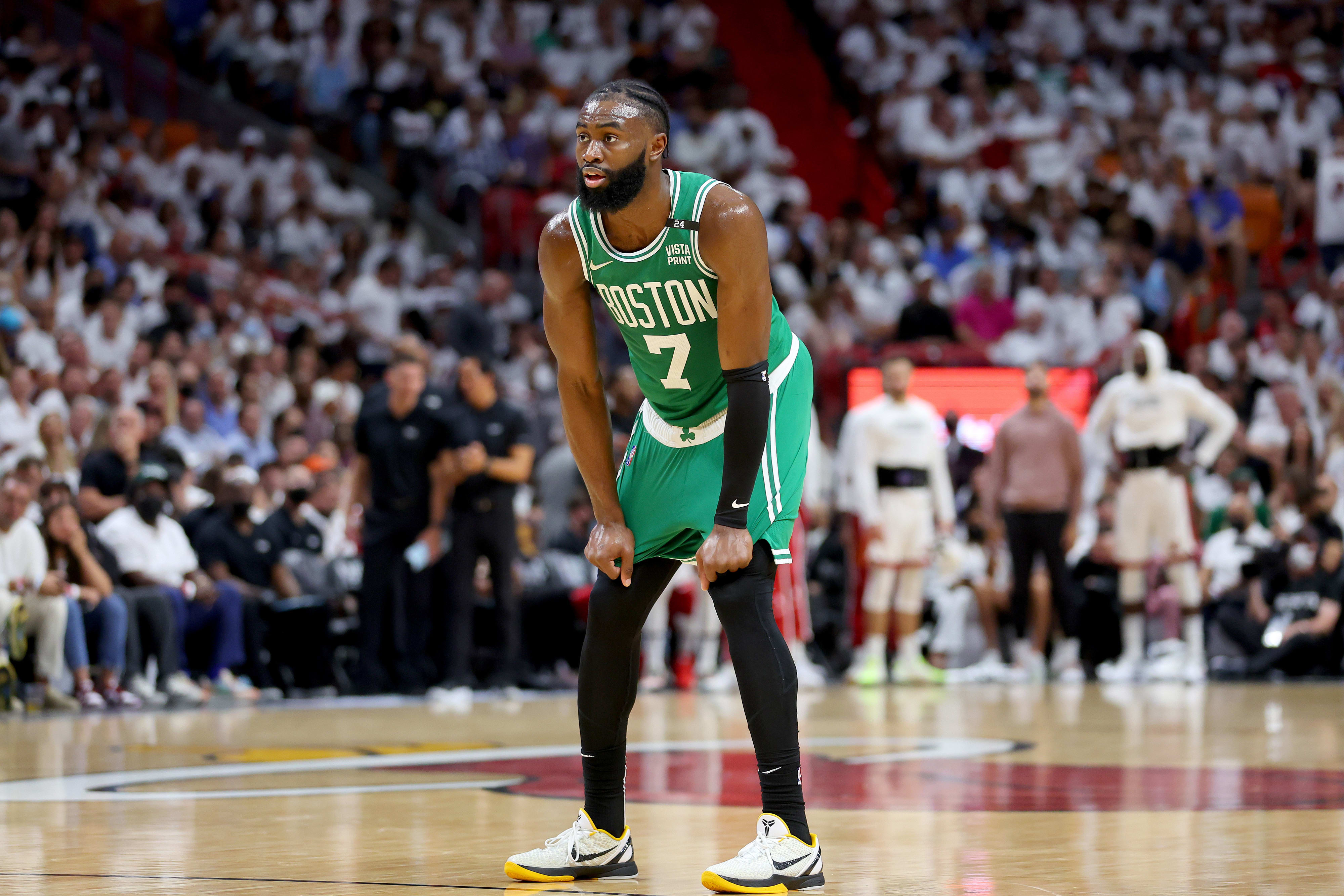 ג'יילן בראון, בוסטון סלטיקס