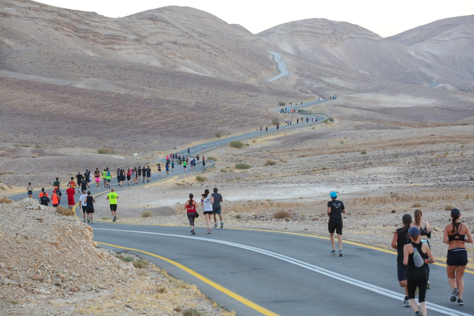 ערד מצדה בזריחה