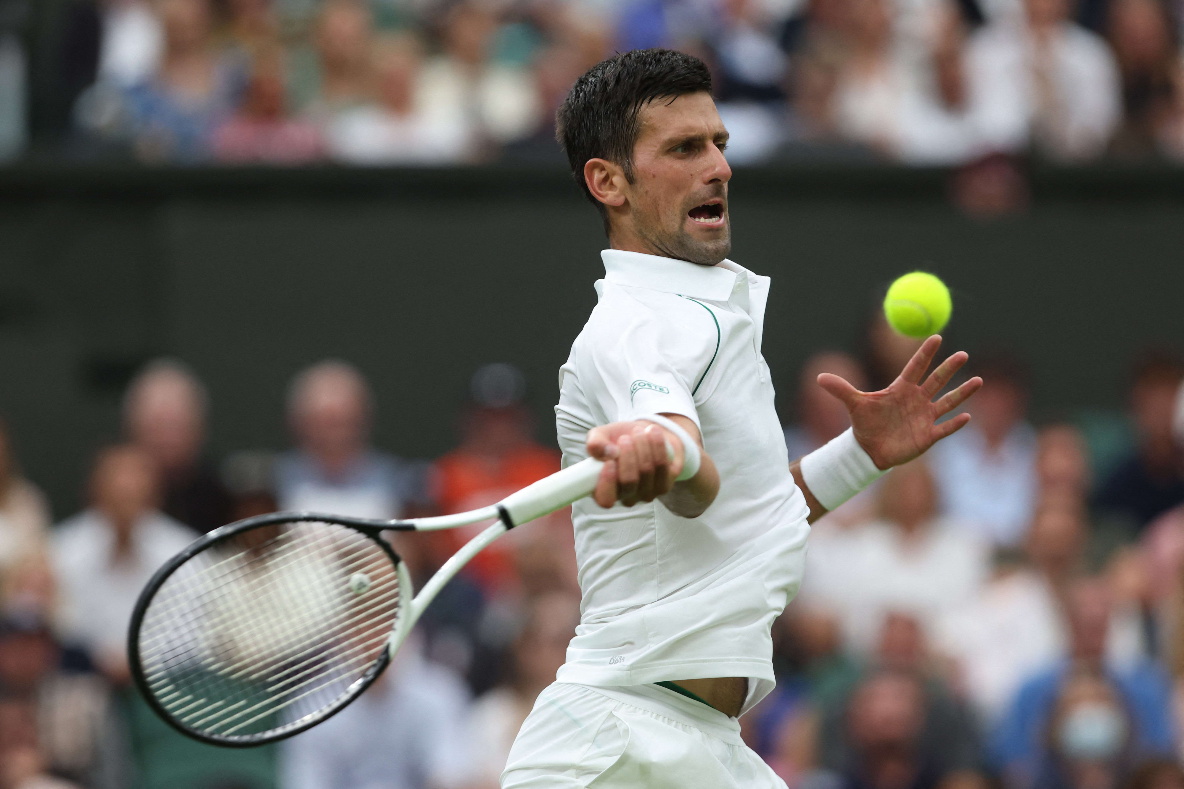 נובאק דג'וקוביץ' ווימבלדון