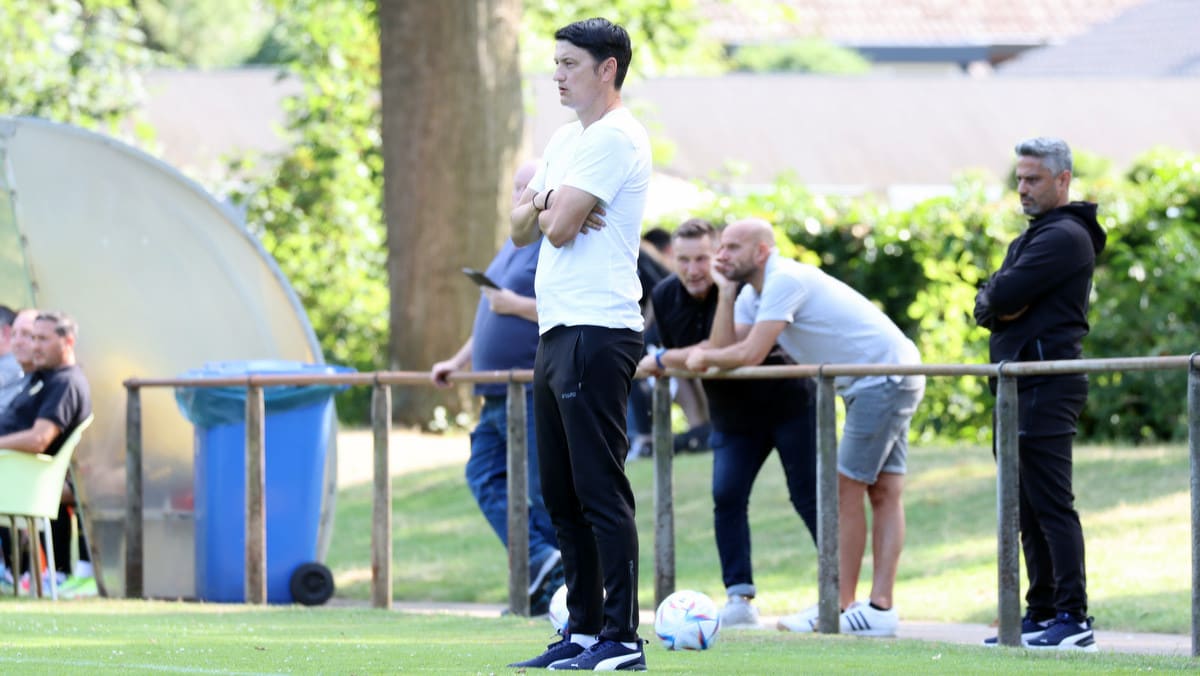 מאמן מכבי תל אביב ולאדן איביץ'