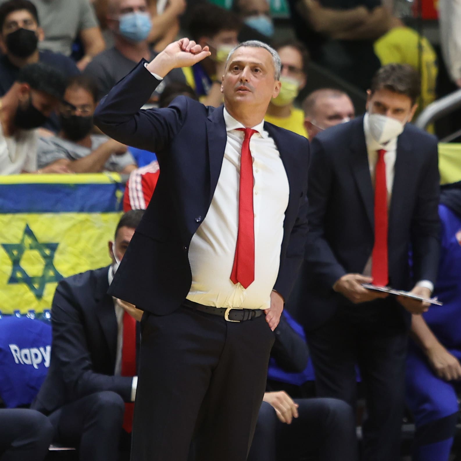 מאמן הכוכב האדום בלגרד דיאן ראדוניץ'