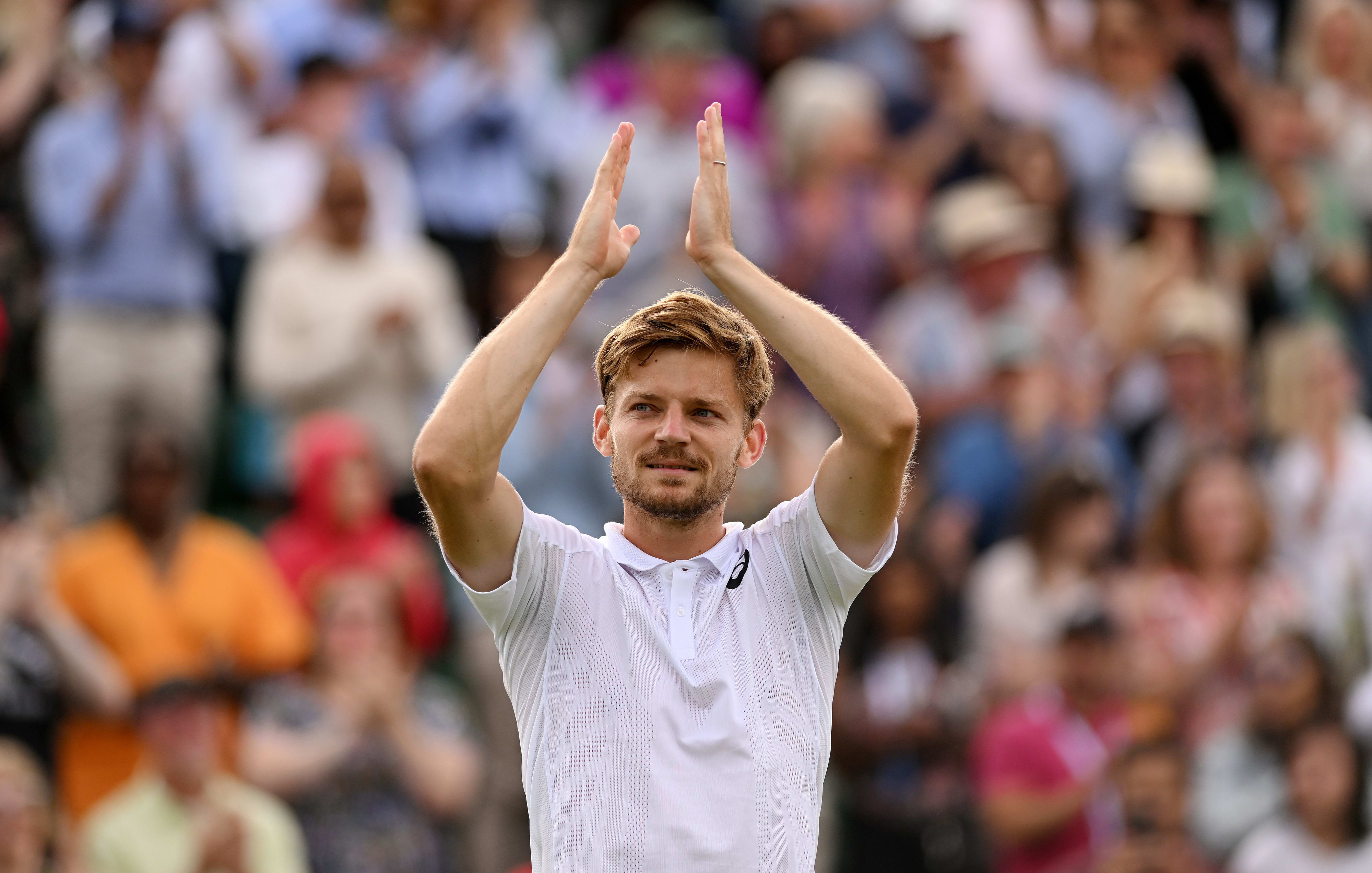 דויד גופן טניסאי בלגי