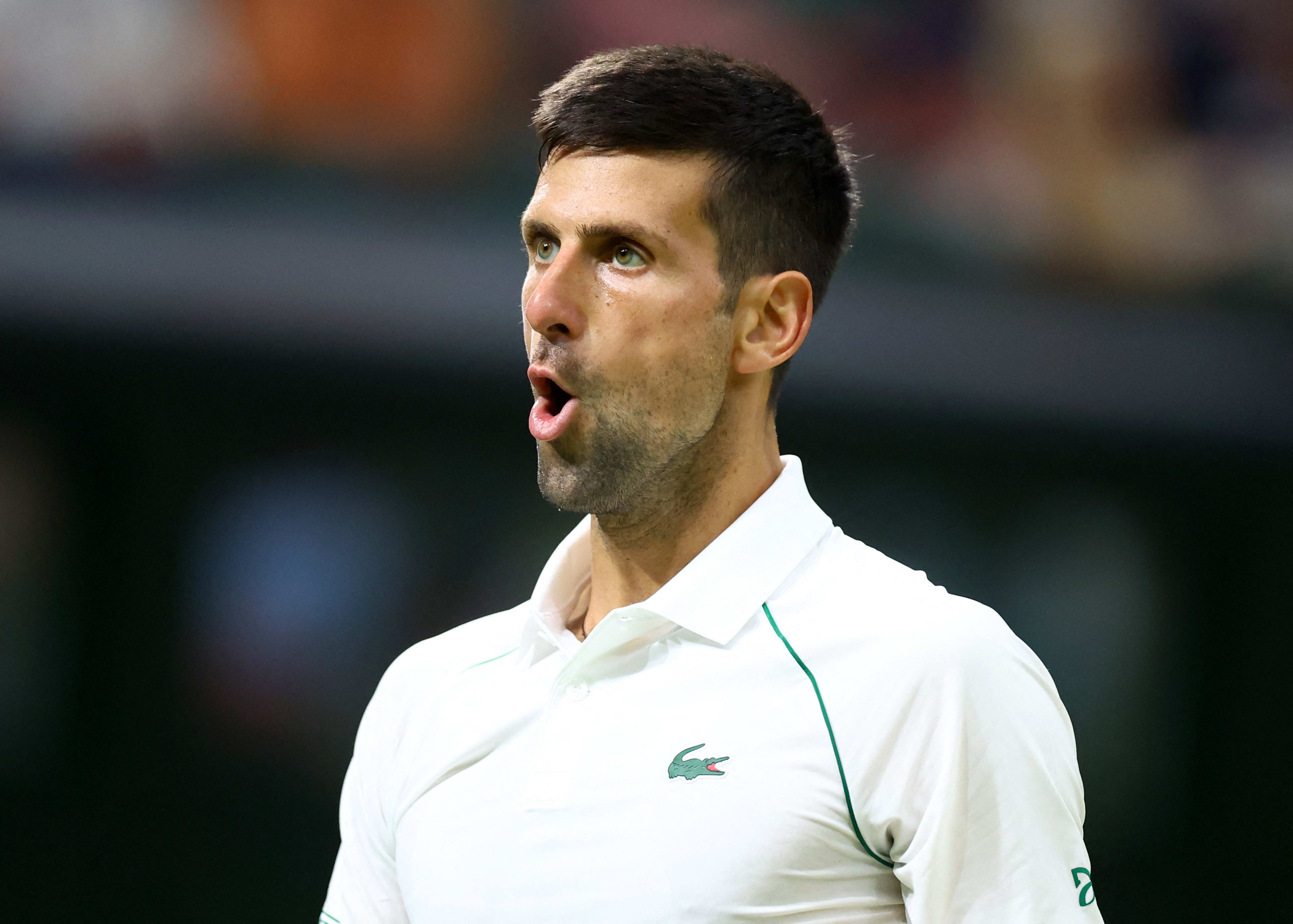 נובאק דג'וקוביץ' טניסאי סרבי