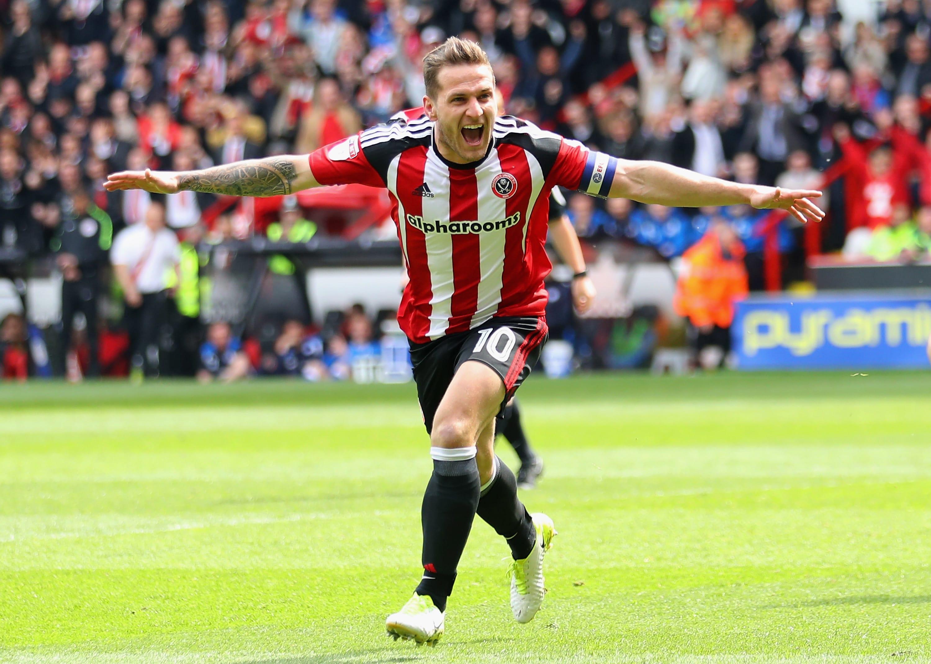 בילי שארפ במדי שפילד יונייטד