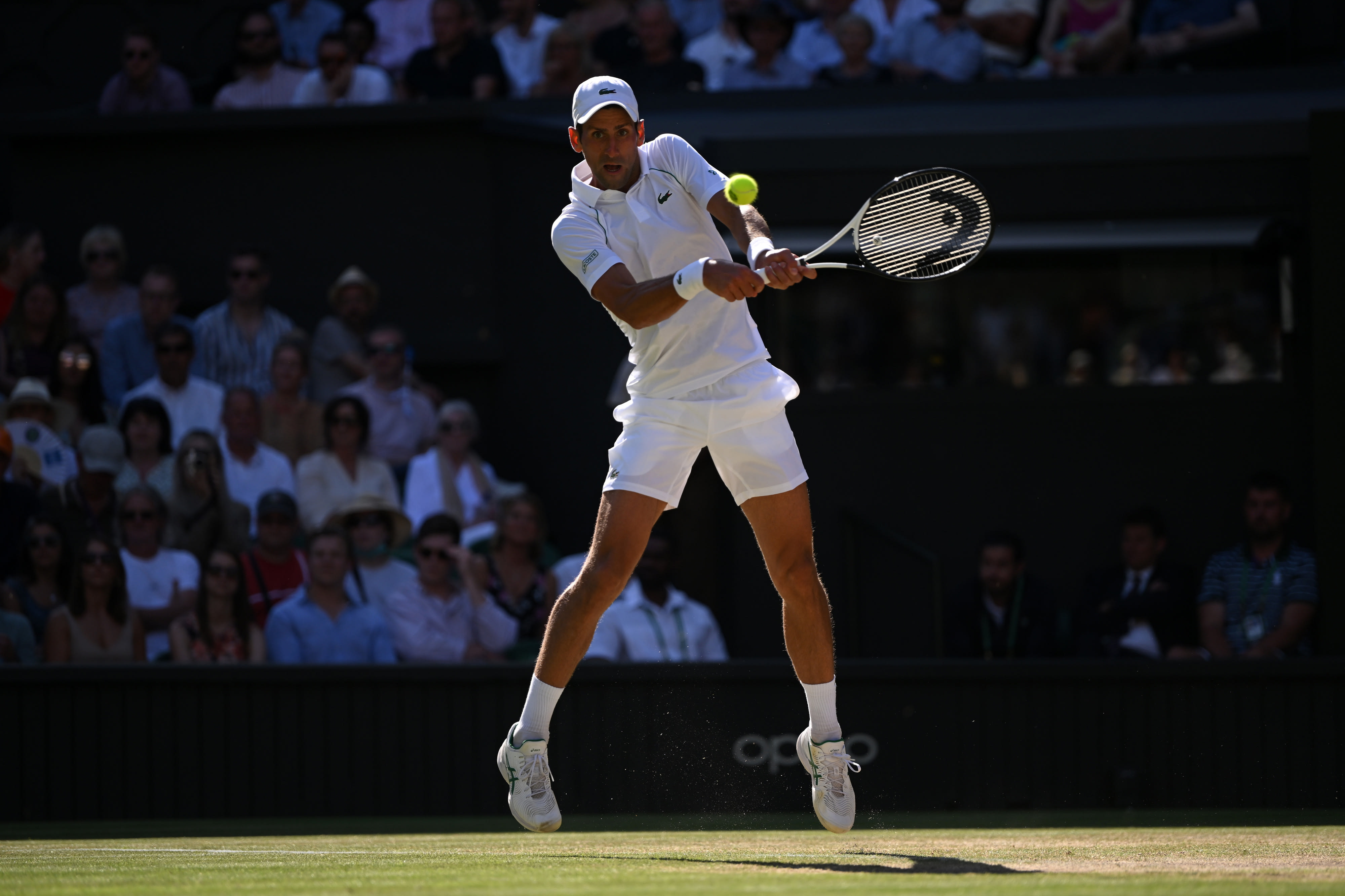 הטניסאי הסרבי נובאק דג'וקוביץ'