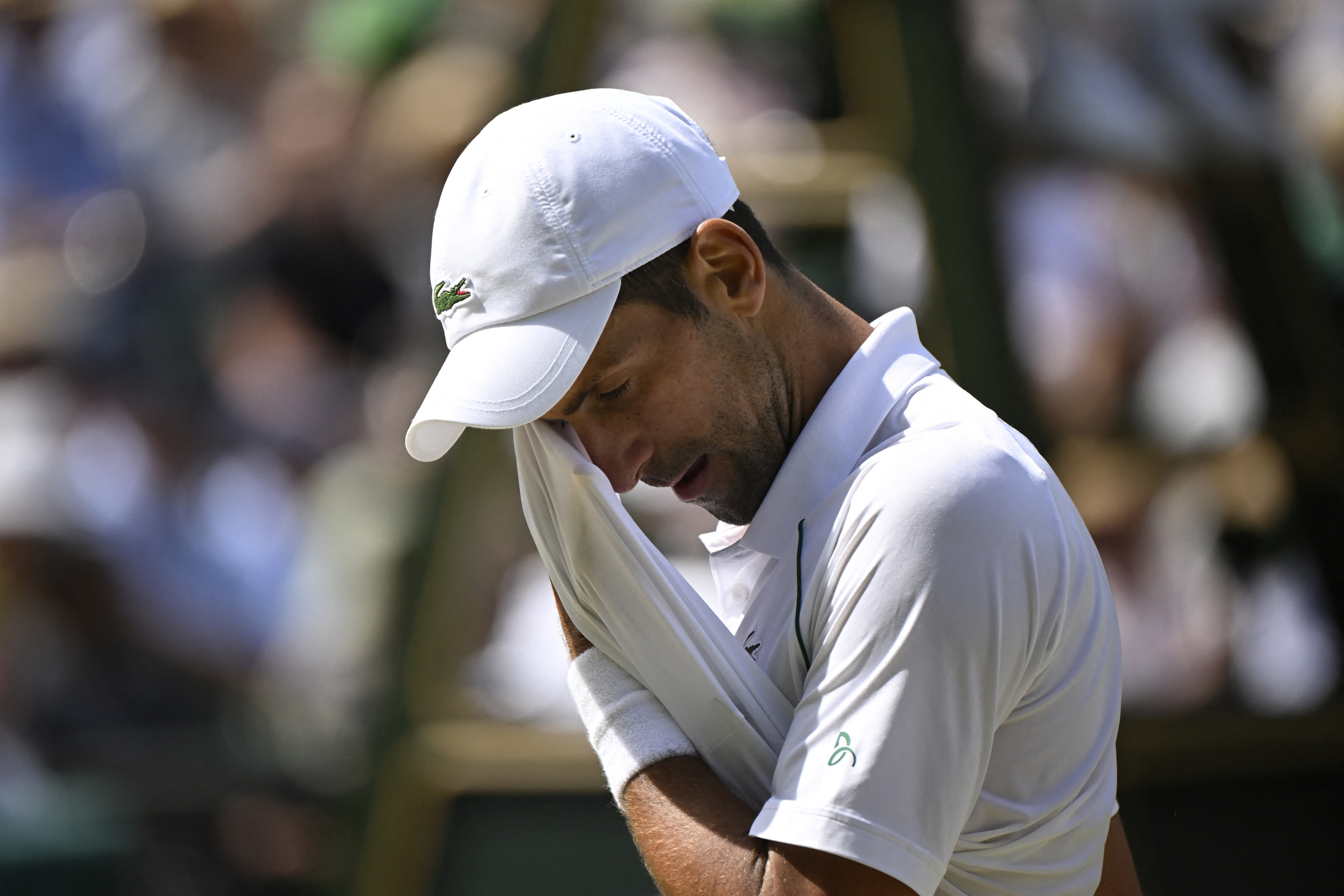 נובאק דג'וקוביץ' טניסאי סרבי