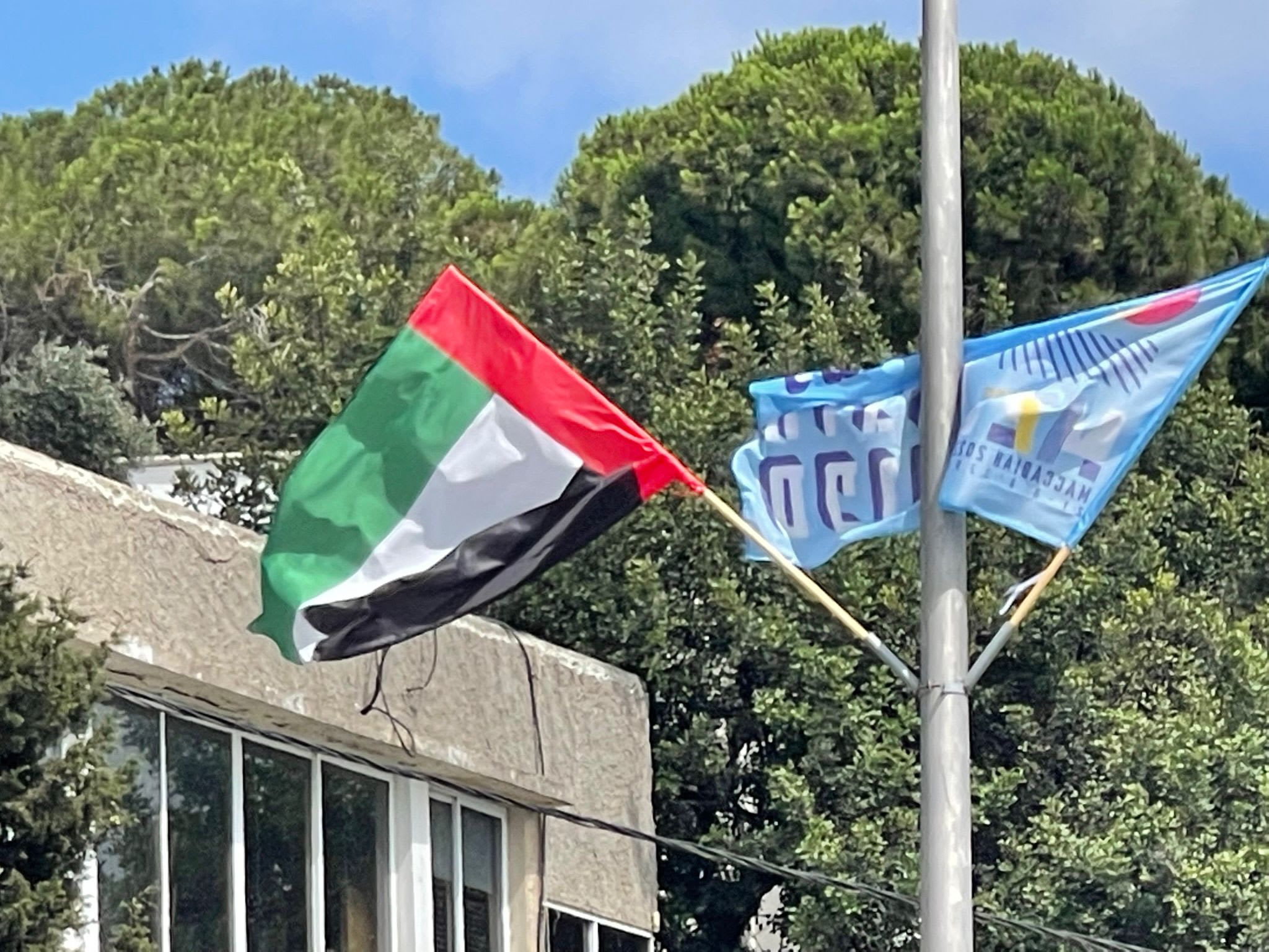 דגל איחוד האמירויות בחיפה